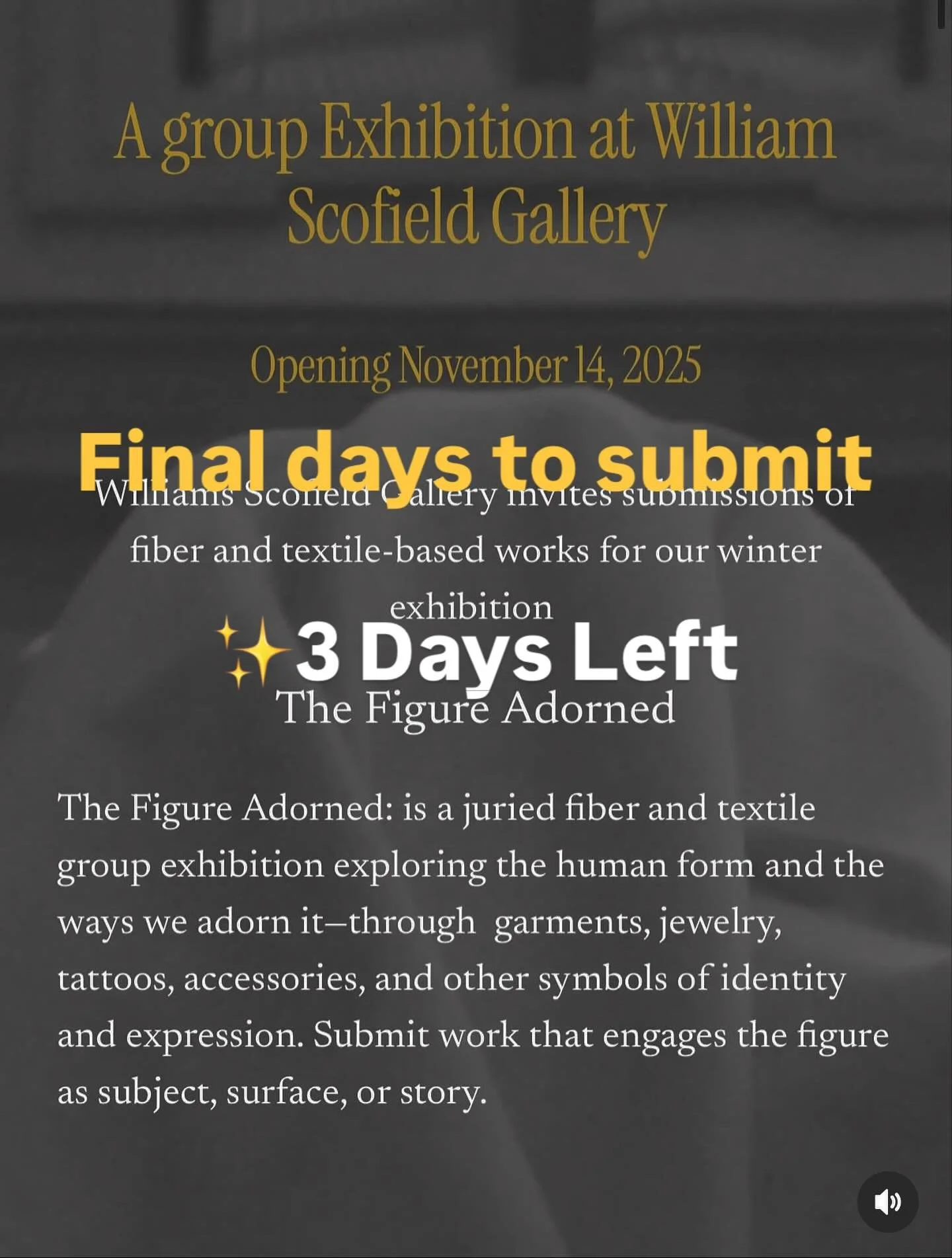 ✨ Final Days to Submit! ✨
There are just 3 days left to enter The Figure Adorned &mdash; our upcoming juried exhibition opening November 14 at William Scofield Gallery.

This winter show celebrates fiber and textile-based works that explore the human
