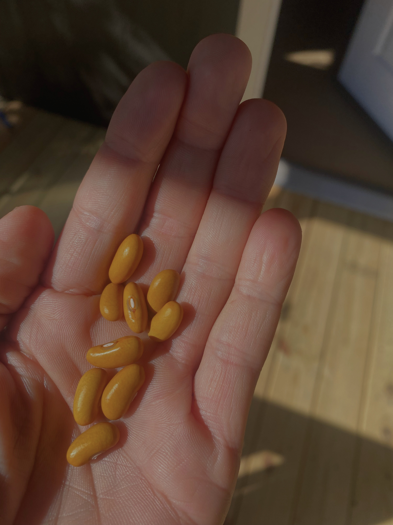 seeds.png