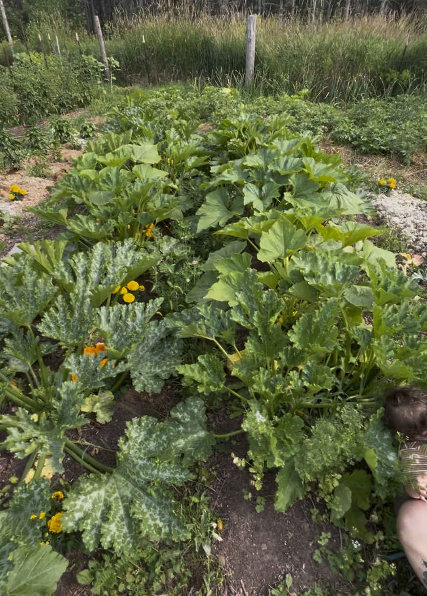 Screenshot 2025-12-16 at 3.44.24 PM.png