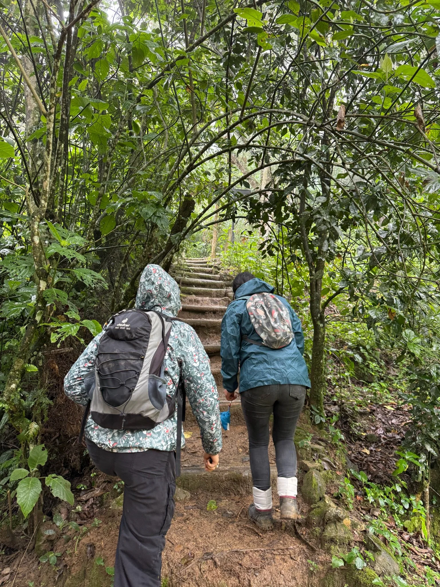 Arrival in Huautla de Jiménez