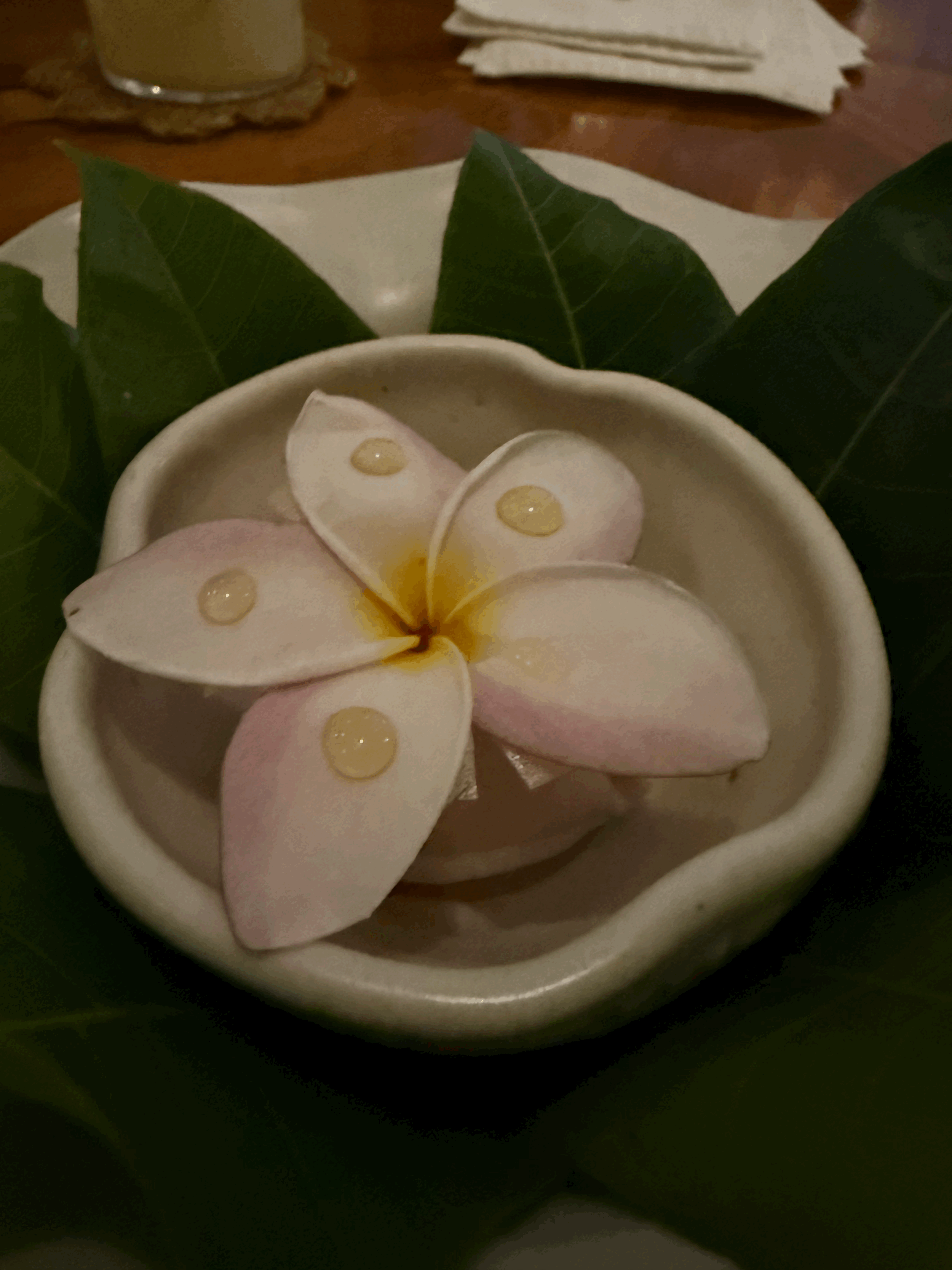 Ancestral Cleansing and Land Discovery