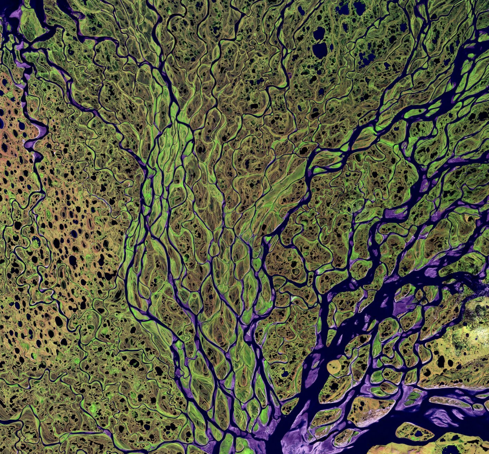 Capture d’écran 2025-04-12 à 21.31.59.png