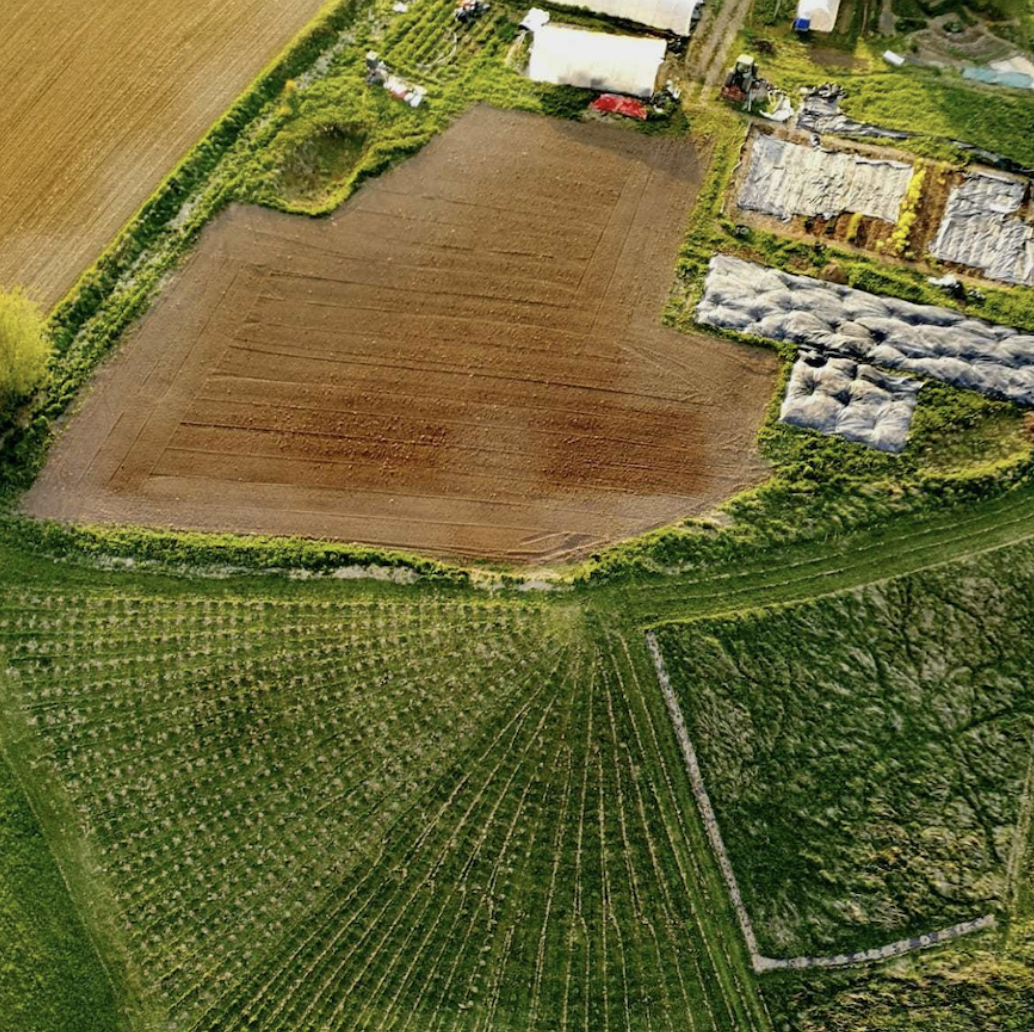 Capture d’écran 2025-04-12 à 21.38.56.png