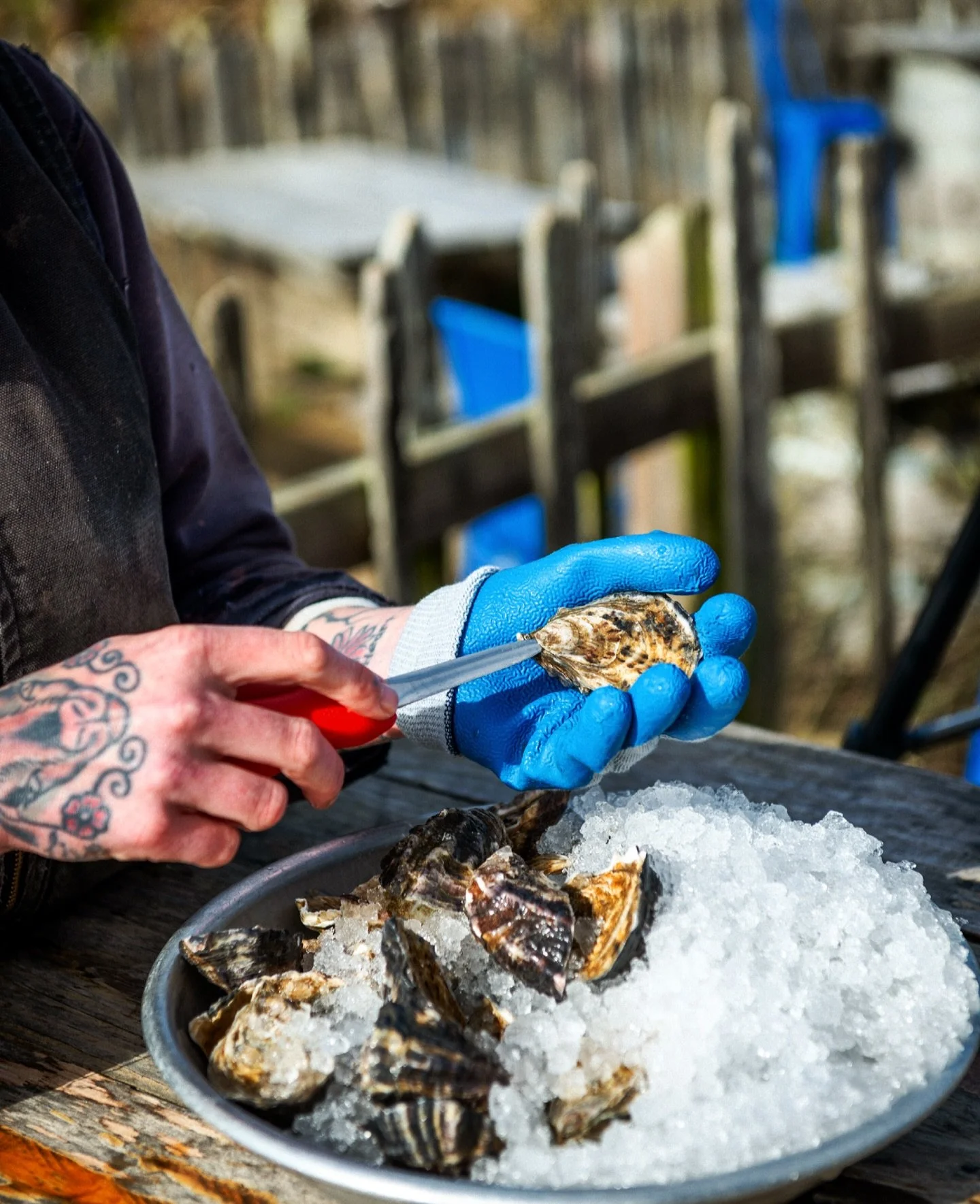 Join us for a special Shucking Master Class Pop-Up at Hog Island Oyster Co., Petaluma! 

We&rsquo;re opening our doors for an intimate, hands-on shucking experience where you&rsquo;ll dive into the history of Hog Island, learn to shuck like a pro, an