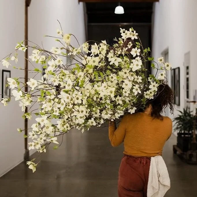 Check out the newly renovated Studebaker lot - new home to Flower Casita! 

You&rsquo;ll find a lively courtyard with music, and an &lsquo;all levels&rsquo; wreath making station. 

(purchase your DIY wreath at the door) 

@flowercasita 

#WarehouseD