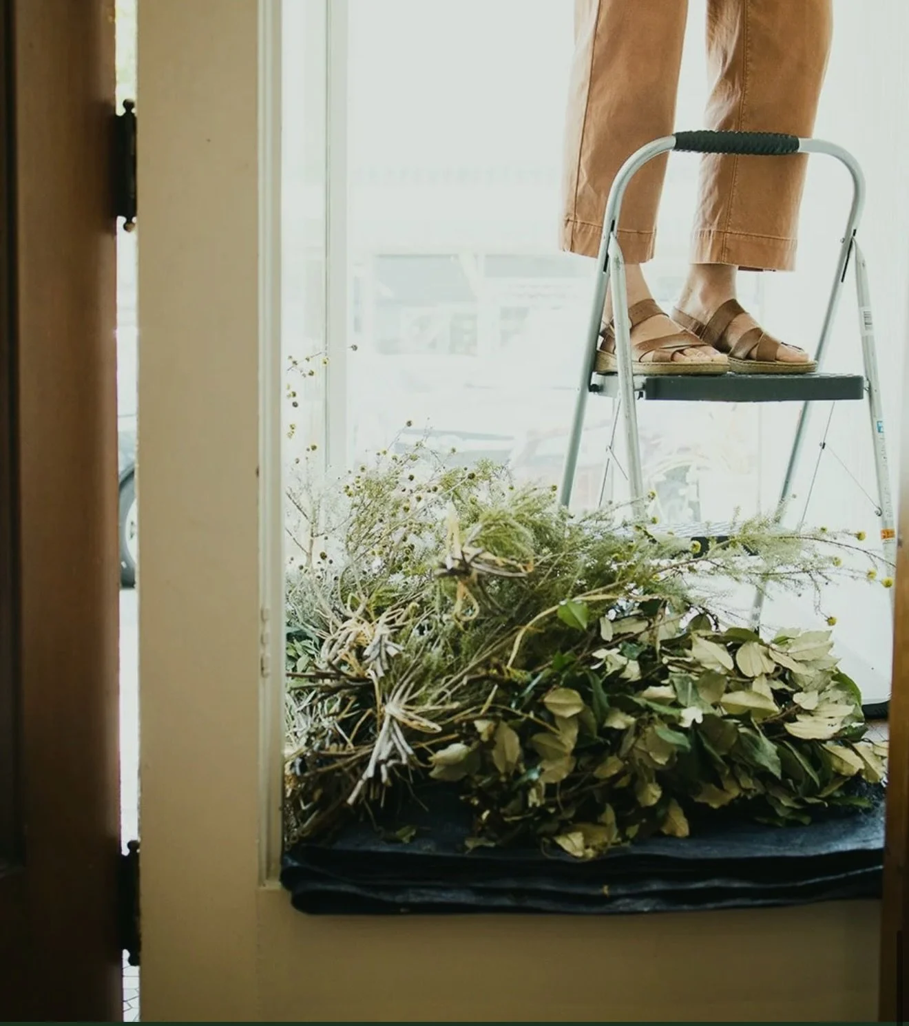 🌸 Bringing life and color to your space&mdash;intentionally.

Meet Flower Casita ✨ A full-service florist serving Sonoma, Marin &amp; San Francisco Counties with locally sourced blooms, organic + wild designs, and a true farm-to-table floral ethic.
