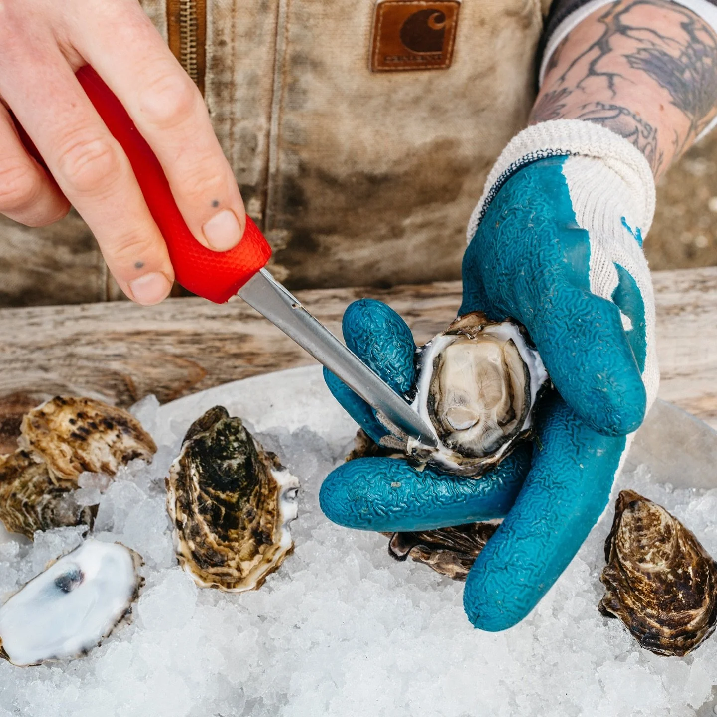 From Tomales Bay to your plate. 🦪

Since 1983, Hog Island has been growing high-quality, sustainably farmed oysters along the Northern California coast. From hatchery to table, every shellfish they raise reflects their commitment to healthy oceans, 