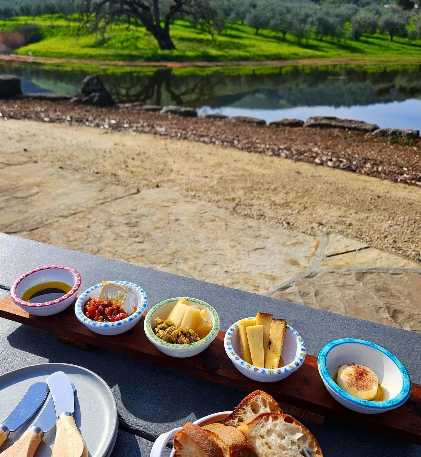 Come for the bites, stay for the peace 💛

#McEvoyRanch #PetalumaEats #SonomaCounty #WineCountryVibes #FarmToTable BayAreaDayTrip