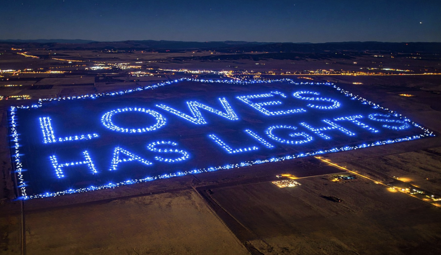 Lowe's — Bulbsgiving