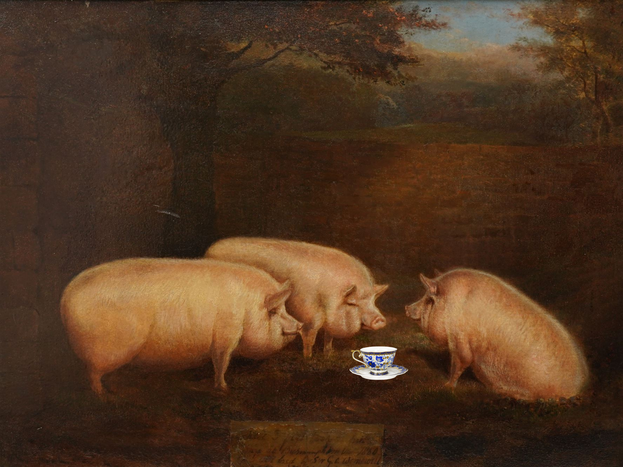 Teapigs — Pig Out Politely