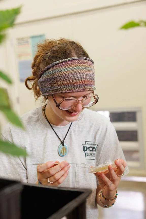 Small Stem Assays at our Mendel’s Way Greenhouse