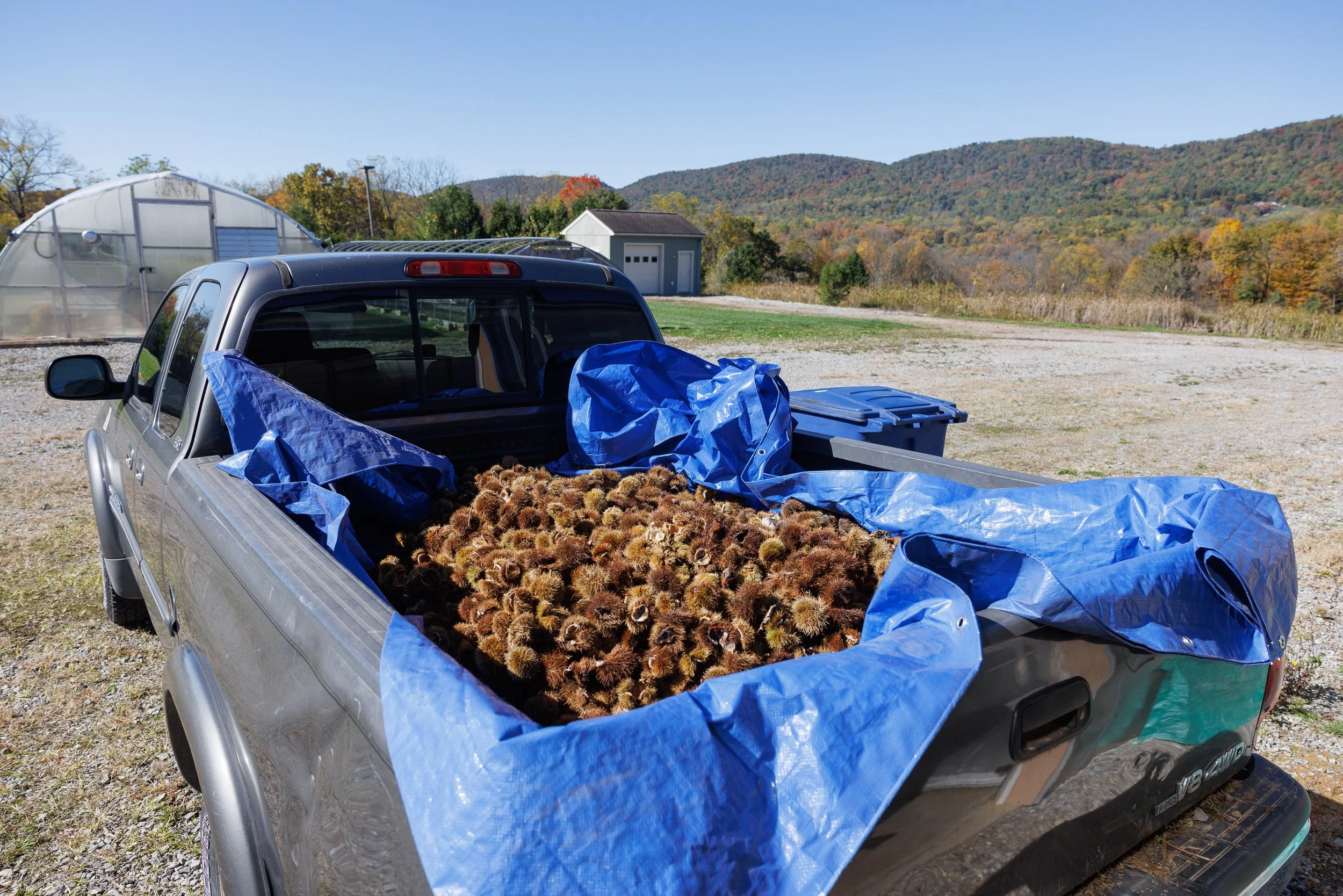 $20k: Long-term capital fund. It is best to be prepared. Unexpected expenses arise, sometimes not-so-unexpected. As early as this summer, we anticipate need of a storage facility for our mowers and tractor. We must also plan for repairs and eventual 