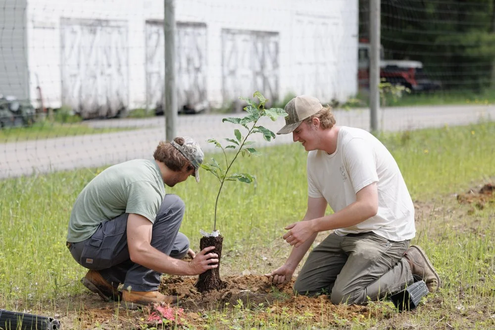 RGS Planting at Moshannon State Forest