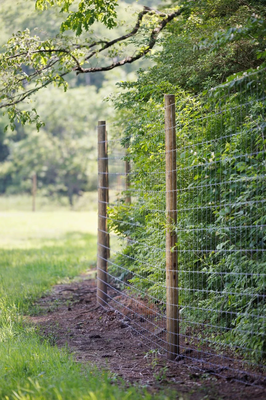 $20k: Fencing grant fund. One thing that often holds back potential partners who want to start an orchard or participate in a reforestation trial is the cost of protection from whitetail deer browse. We’d like to help growers over that hurdle with a 