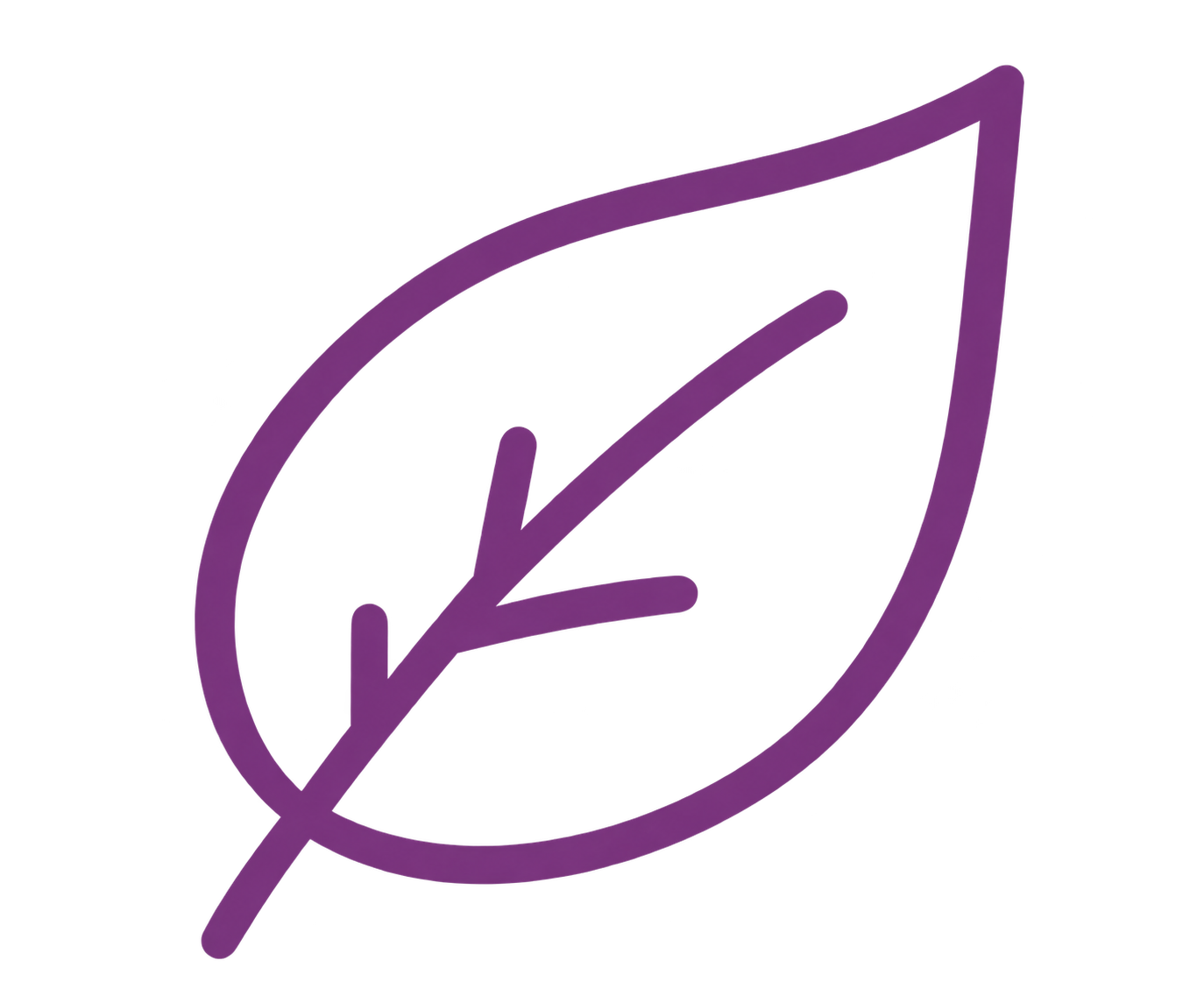 Outline of a purple leaf with a central vein and a curved edge.
