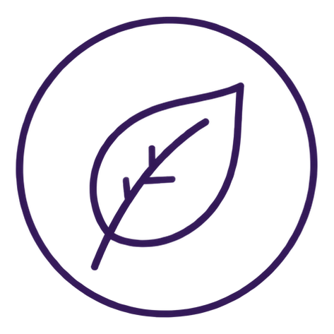 Outline of a leaf inside a circle, representing eco-friendliness or sustainability.