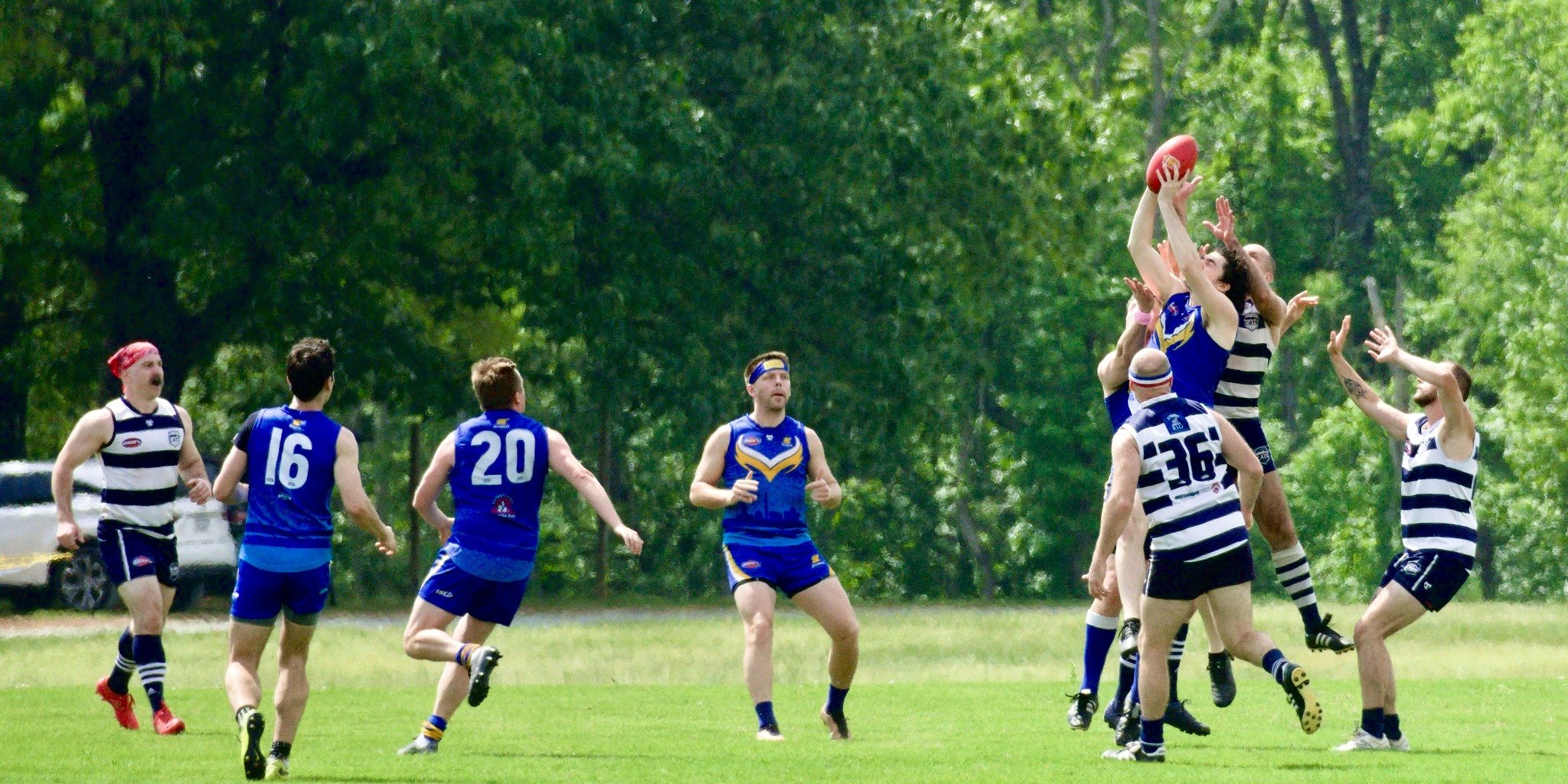 05.03 Cats vs DC: Roy Arne Photography