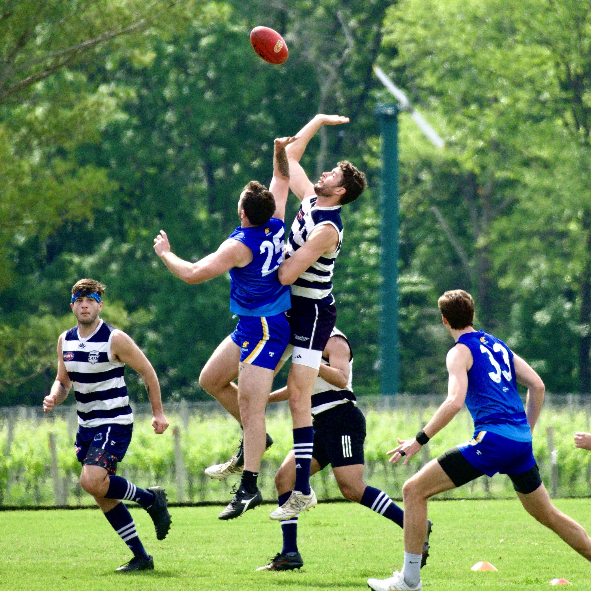 05.03 Cats vs DC: Roy Arne Photography