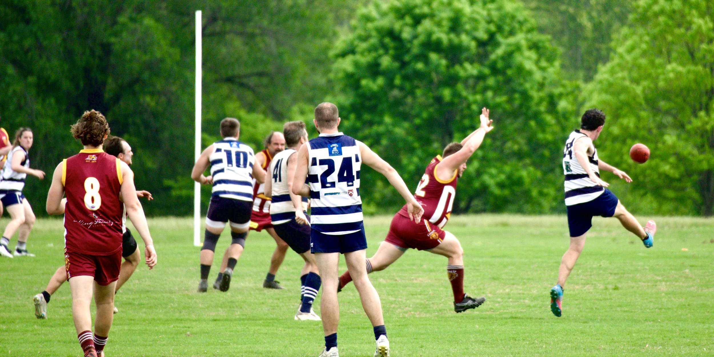 05.03 Cats vs Lions: Roy Arne Photography