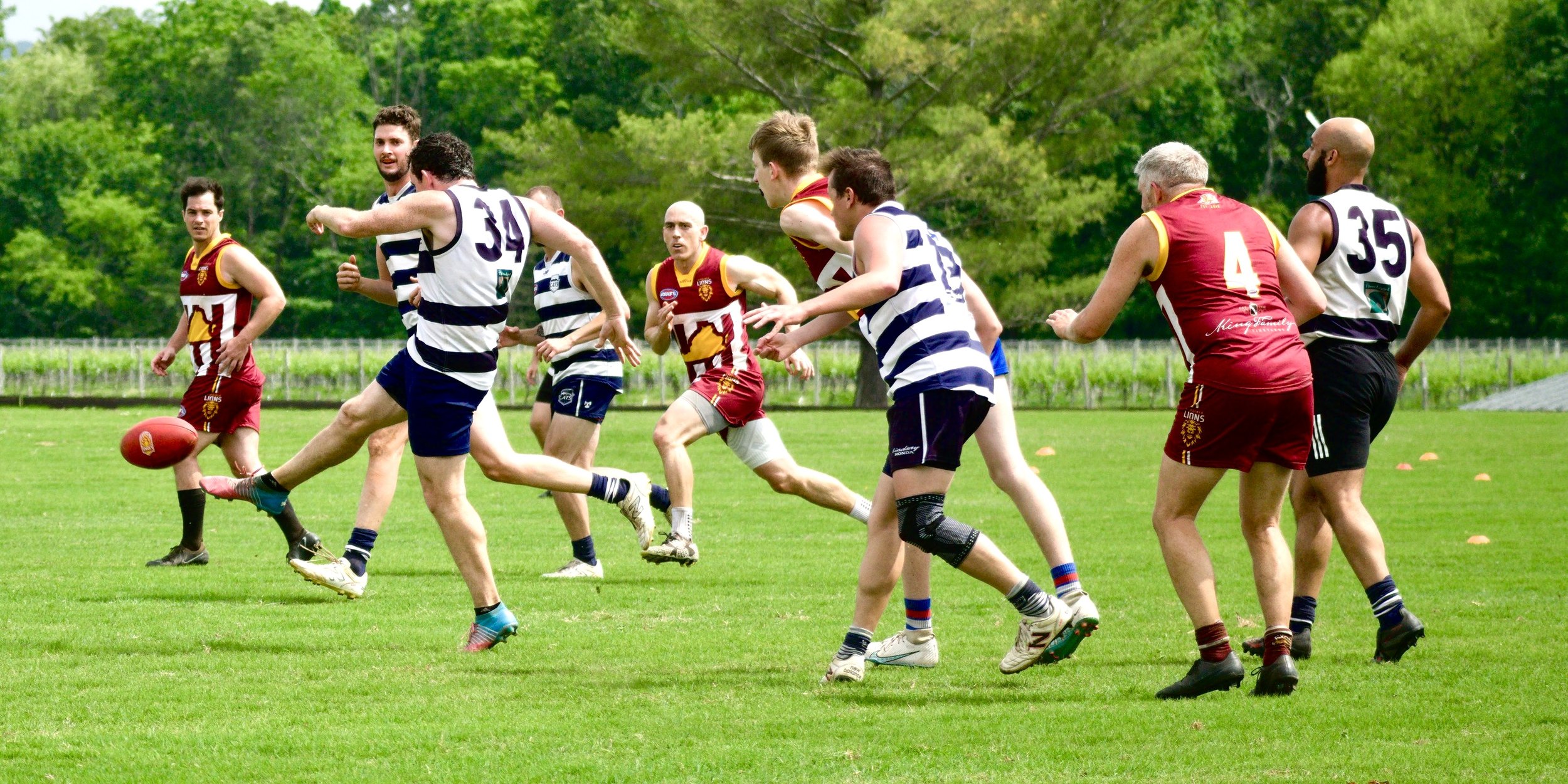 05.03 Cats vs Lions: Roy Arne Photography
