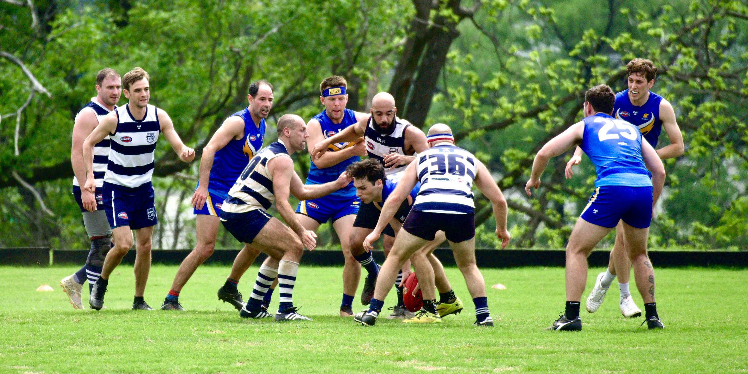 05.03 Cats vs DC: Roy Arne Photography