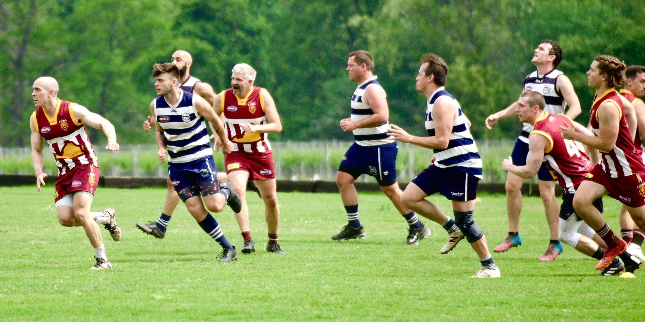 05.03 Cats vs Lions: Roy Arne Photography