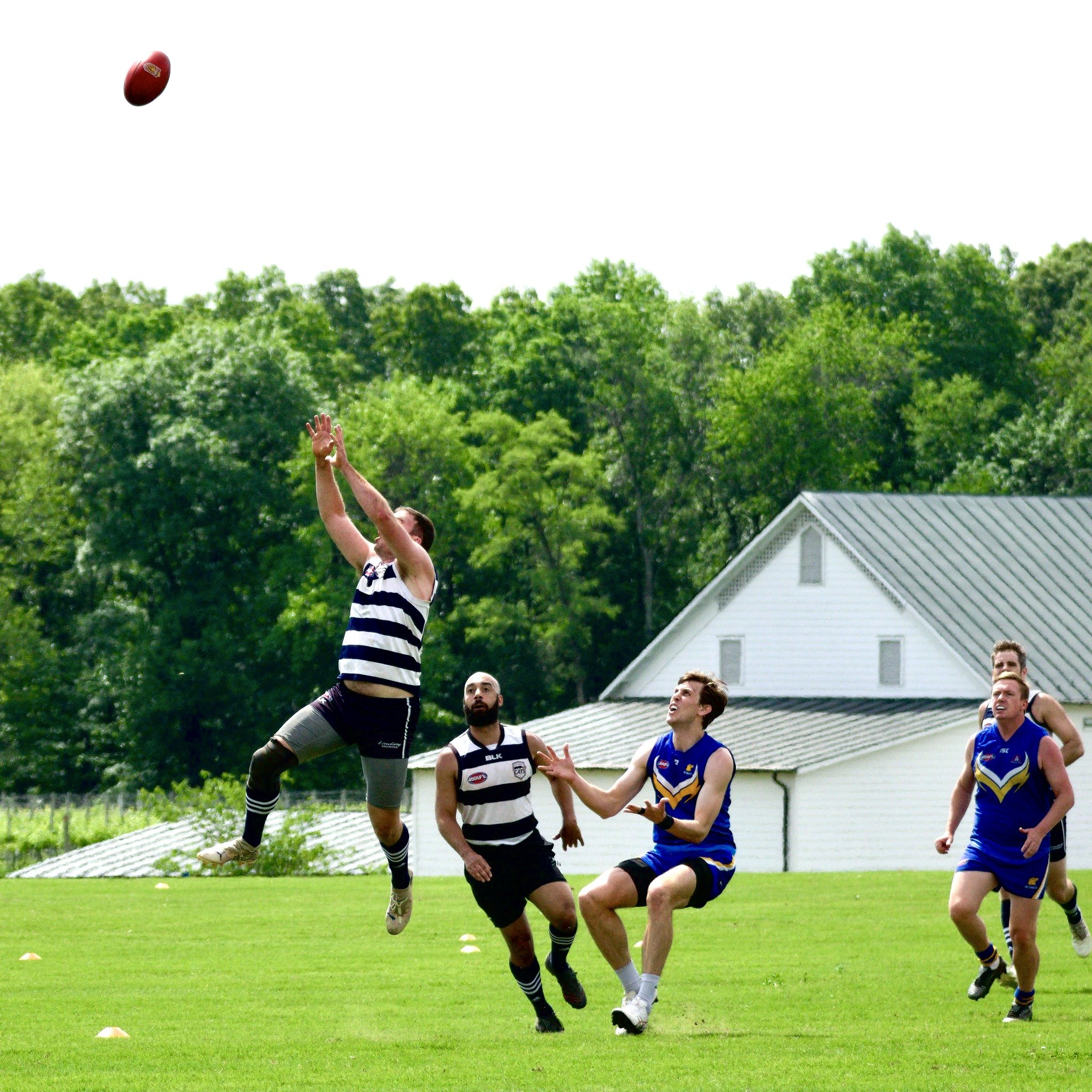 05.03 Cats vs DC: Roy Arne Photography