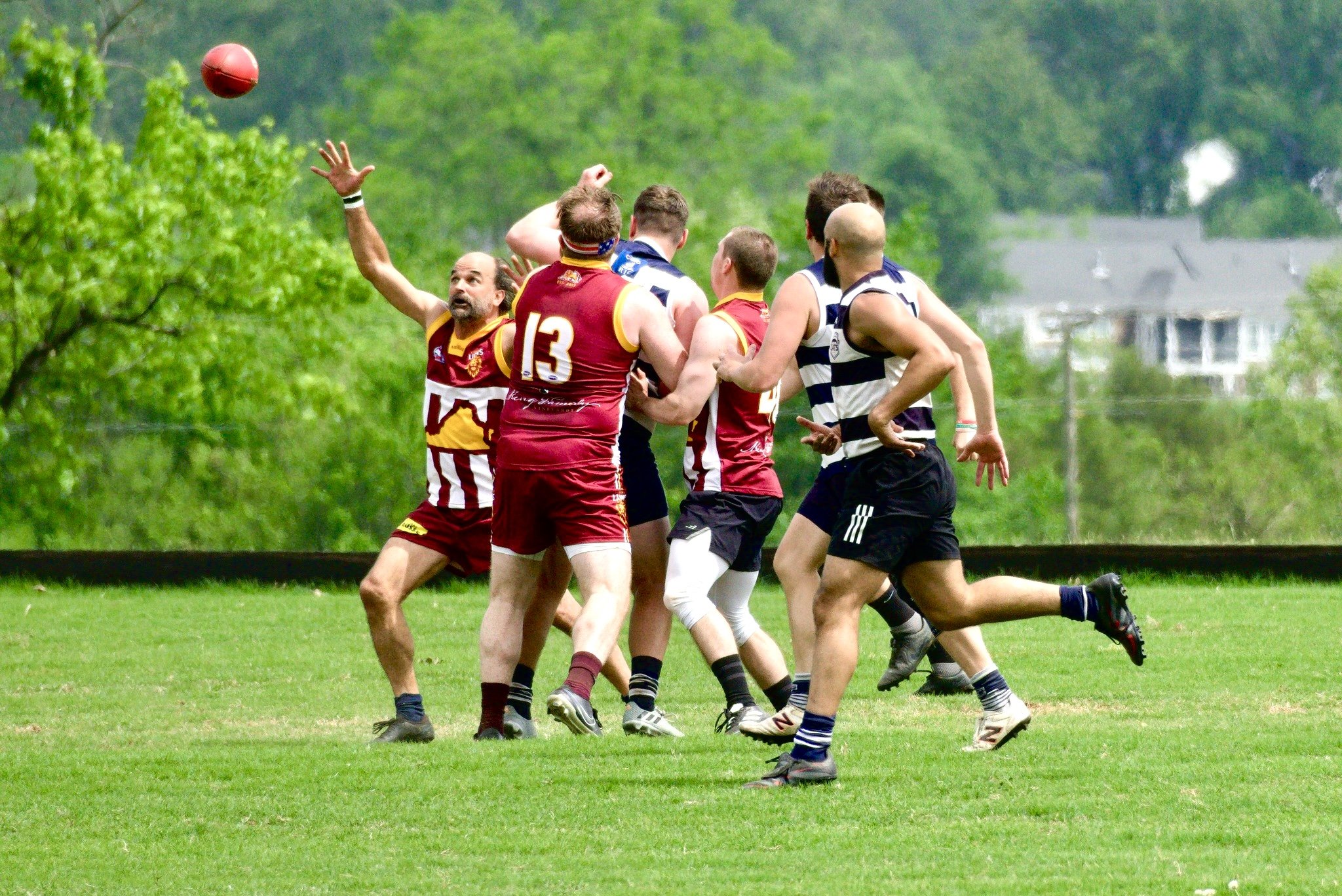 05.03 Cats vs Lions: Roy Arne Photography