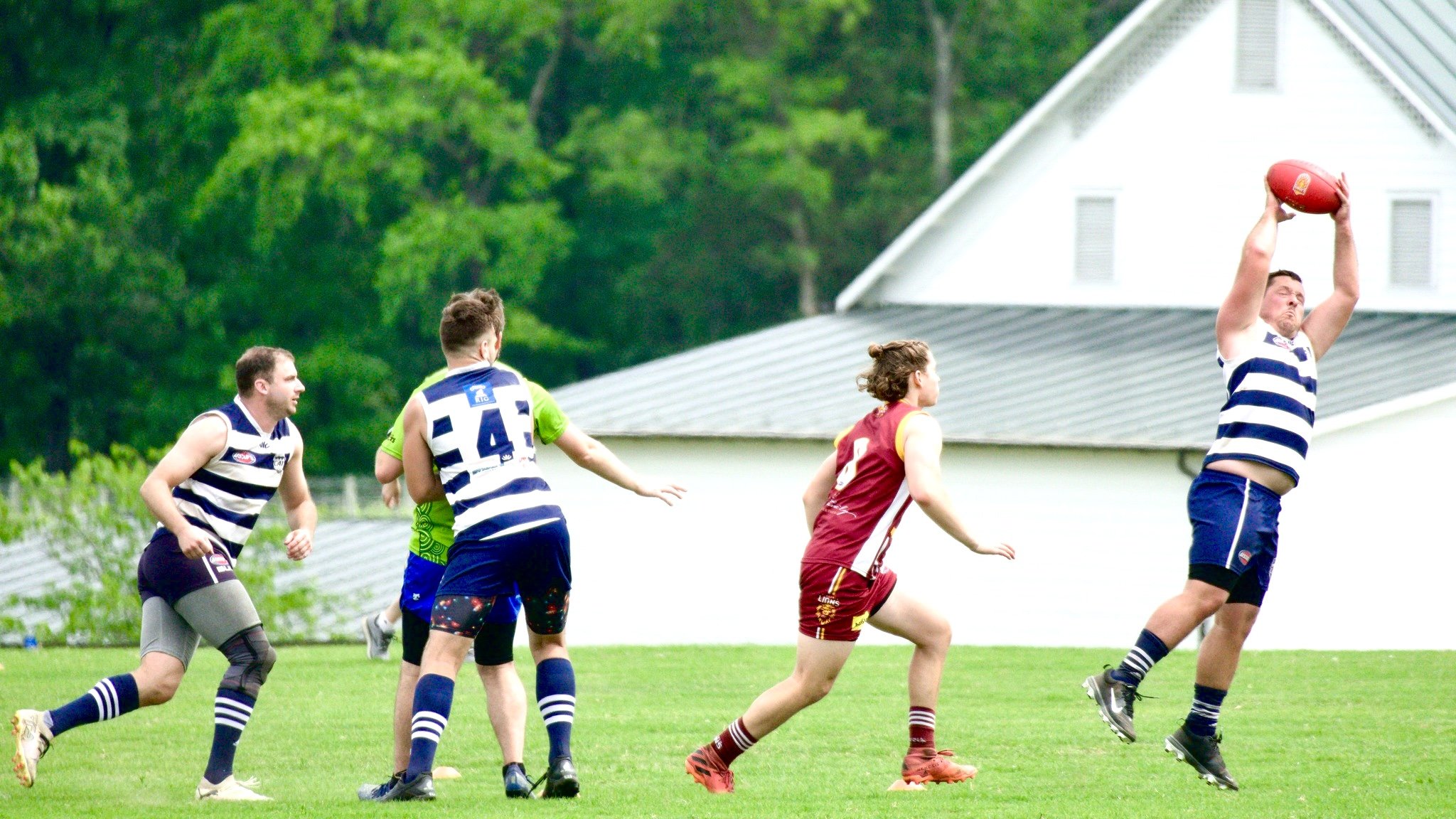 05.03 Cats vs Lions: Roy Arne Photography