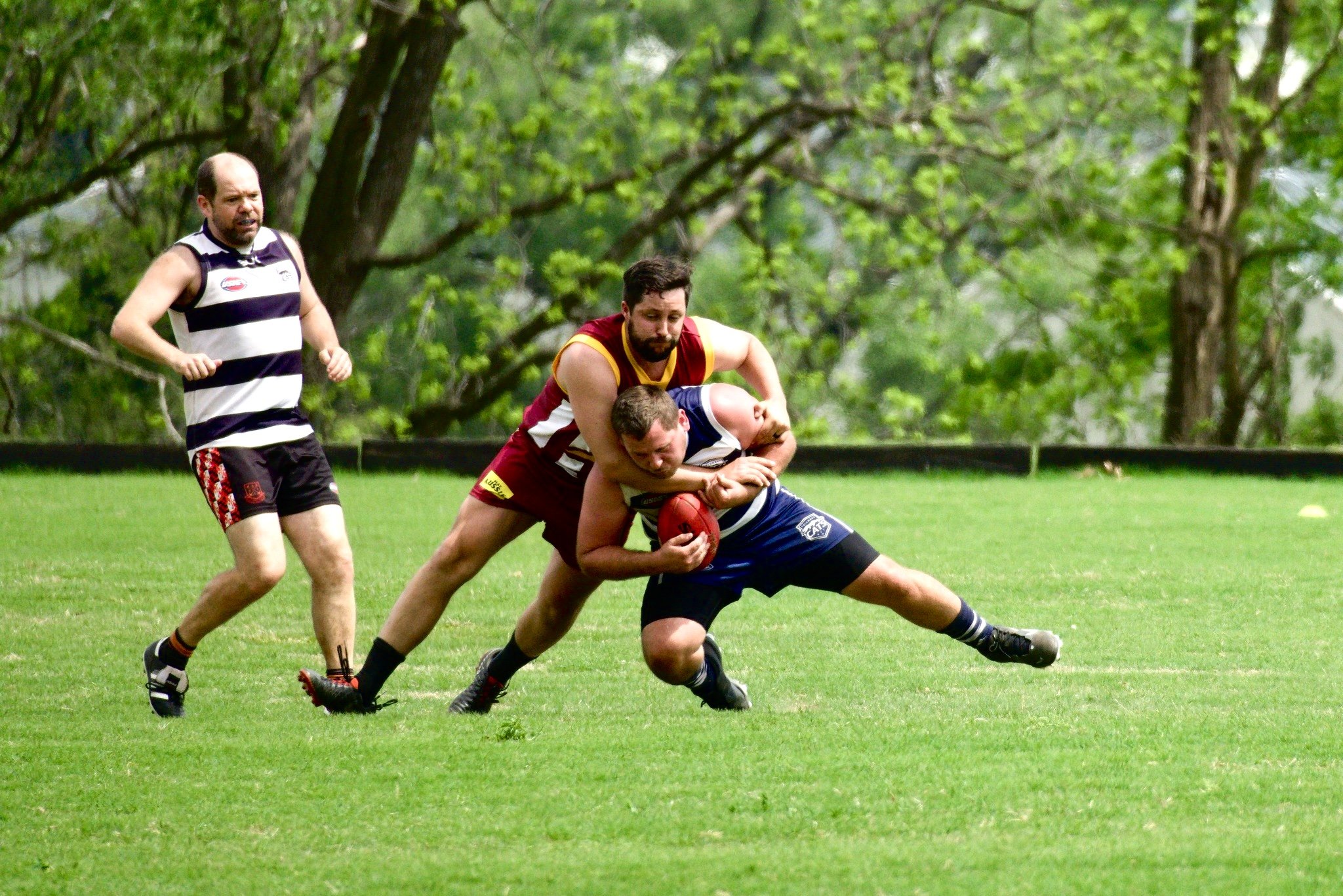 05.03 Cats vs Lions: Roy Arne Photography