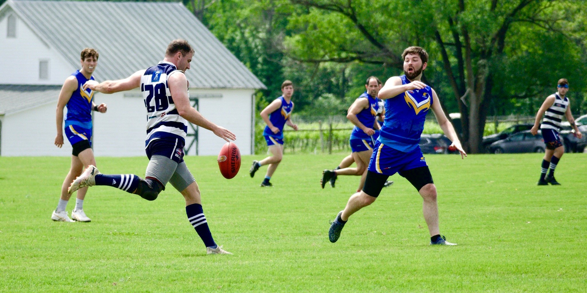 05.03 Cats vs DC: Roy Arne Photography