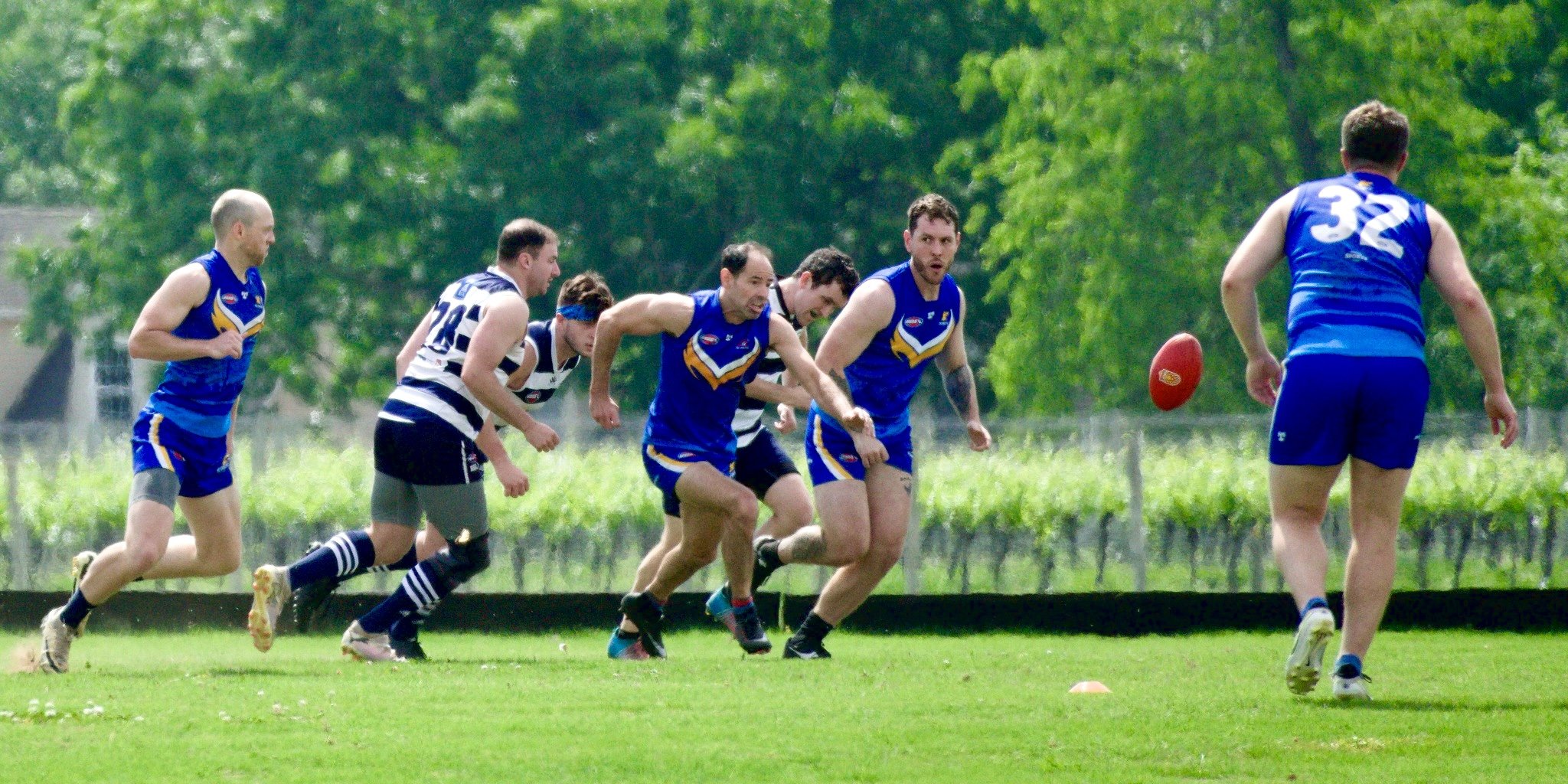 05.03 Cats vs DC: Roy Arne Photography