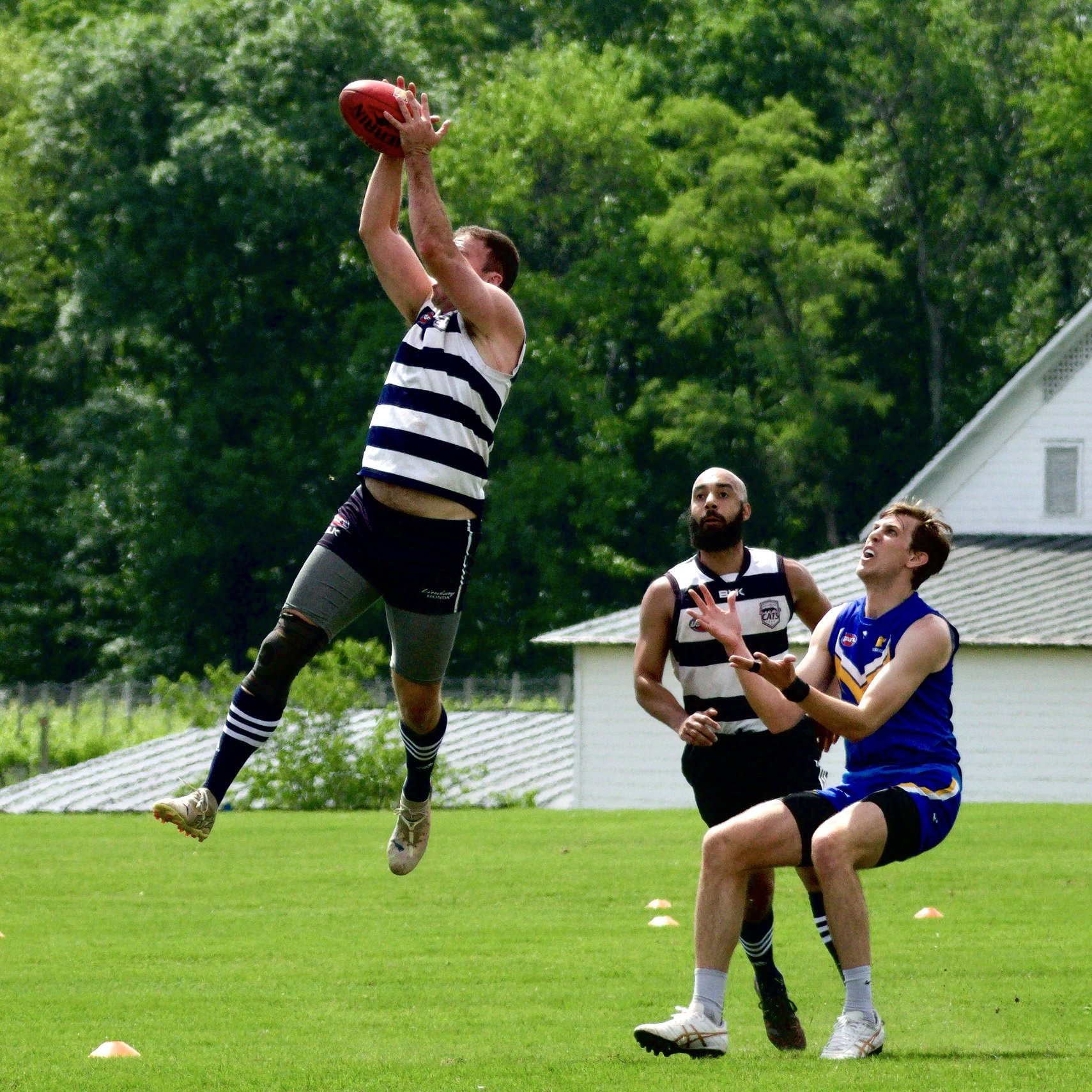 05.03 Cats vs DC: Roy Arne Photography