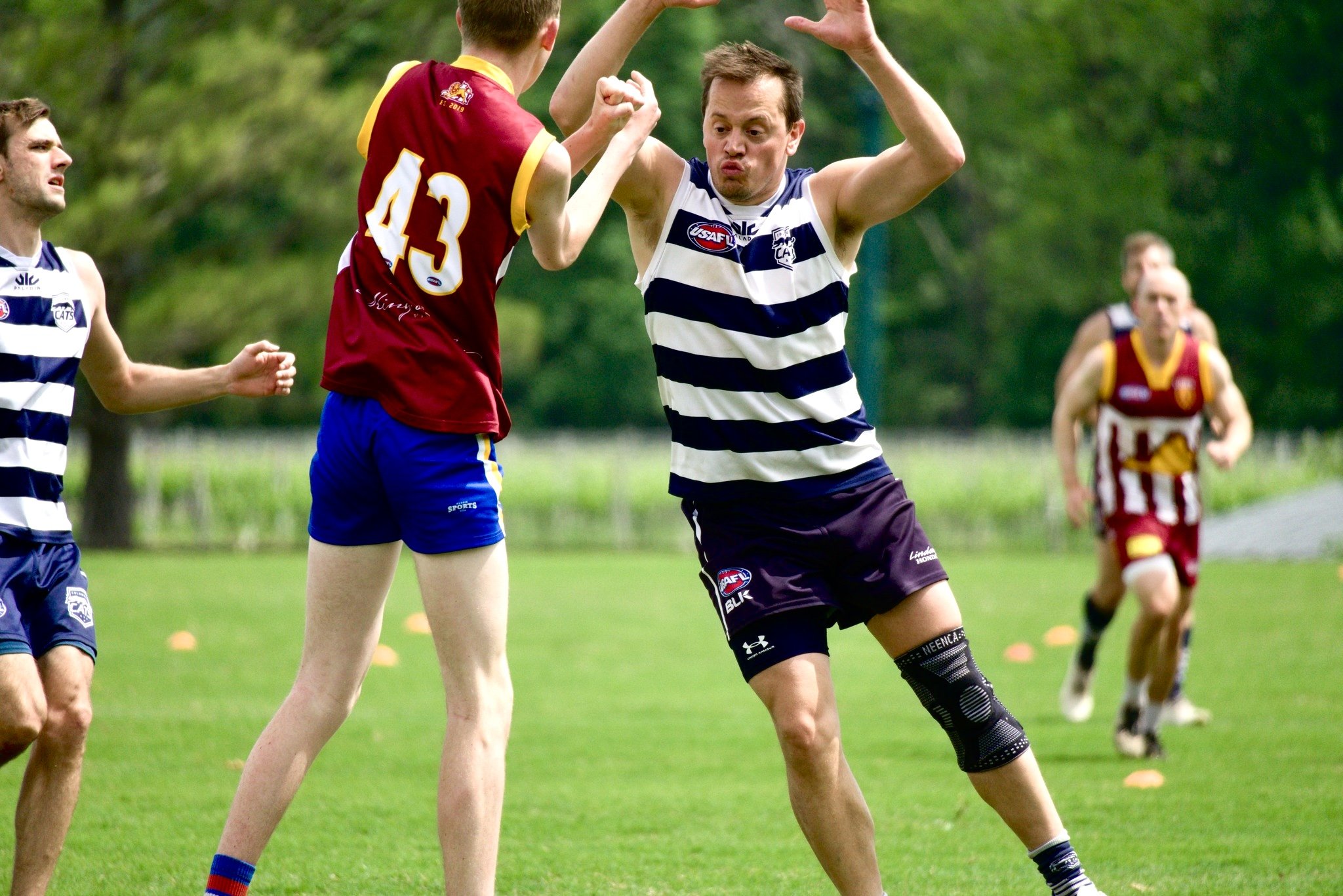 05.03 Cats vs Lions: Roy Arne Photography