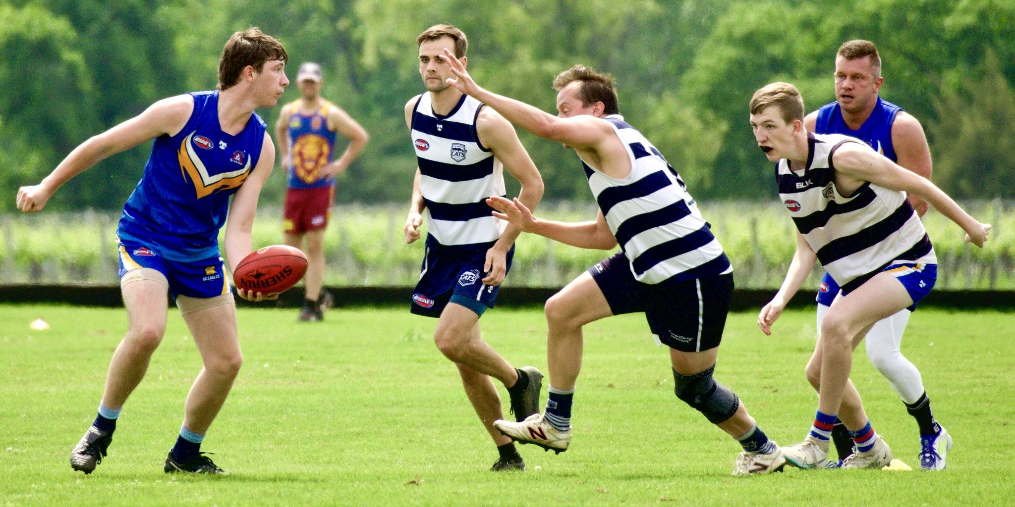 05.03 Cats vs DC: Roy Arne Photography