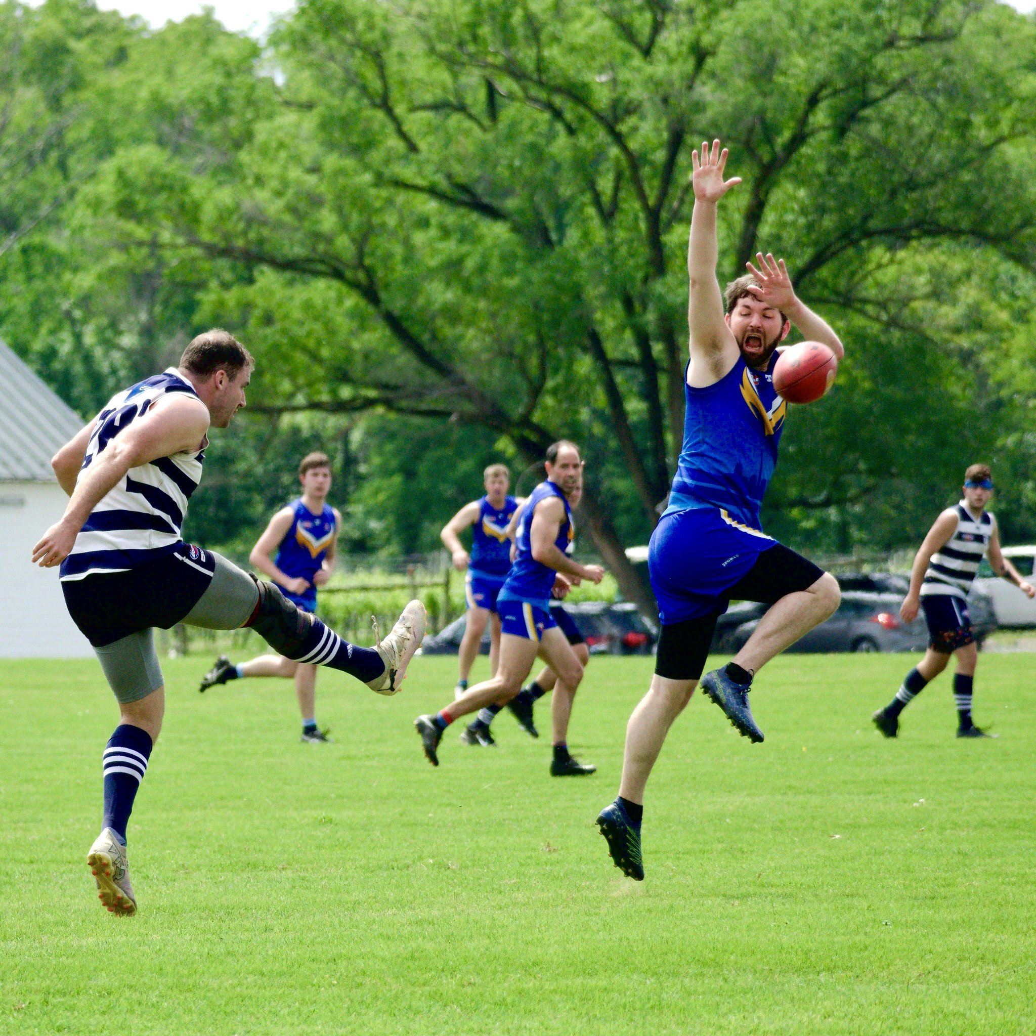 05.03 Cats vs DC: Roy Arne Photography