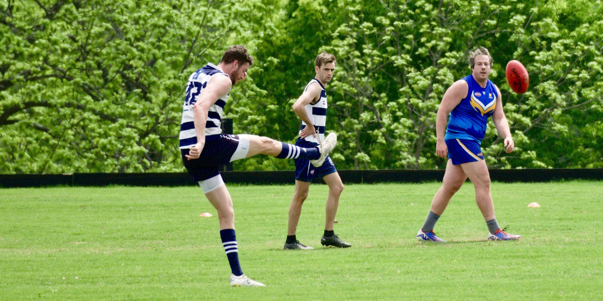 05.03 Cats vs DC: Roy Arne Photography