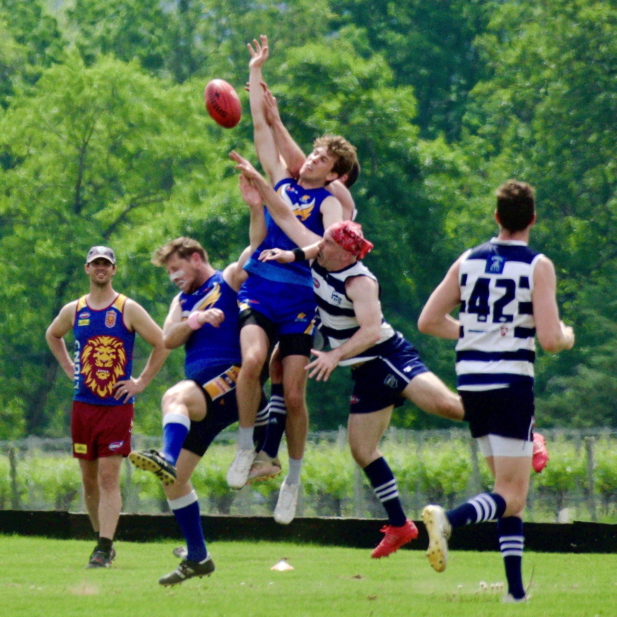 05.03 Cats vs DC: Roy Arne Photography