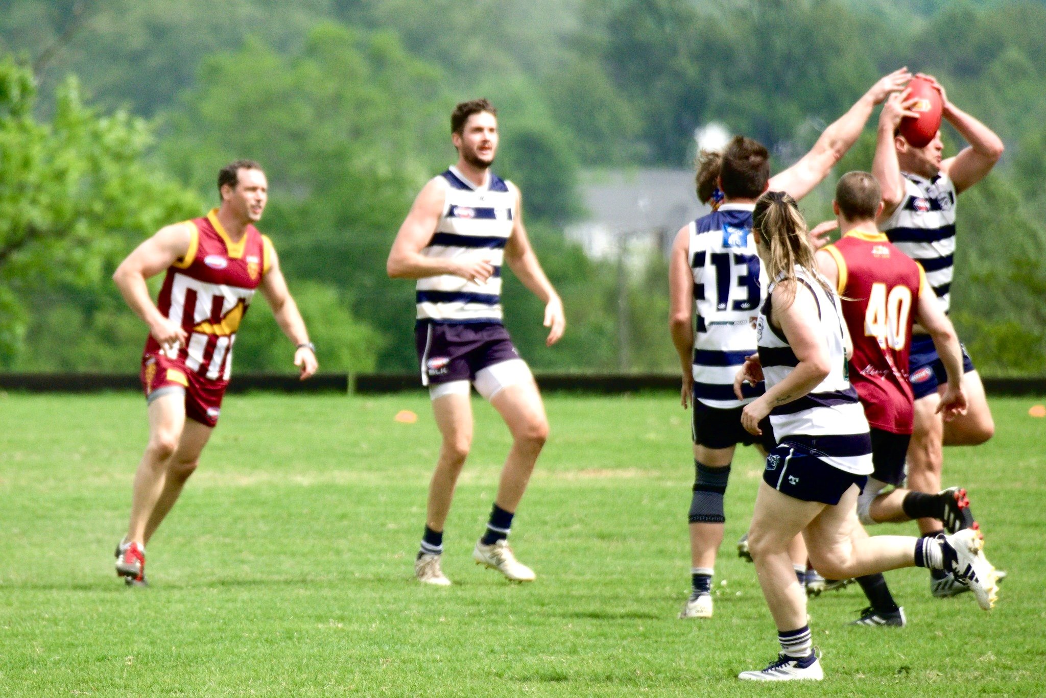 05.03 Cats vs Lions: Roy Arne Photography