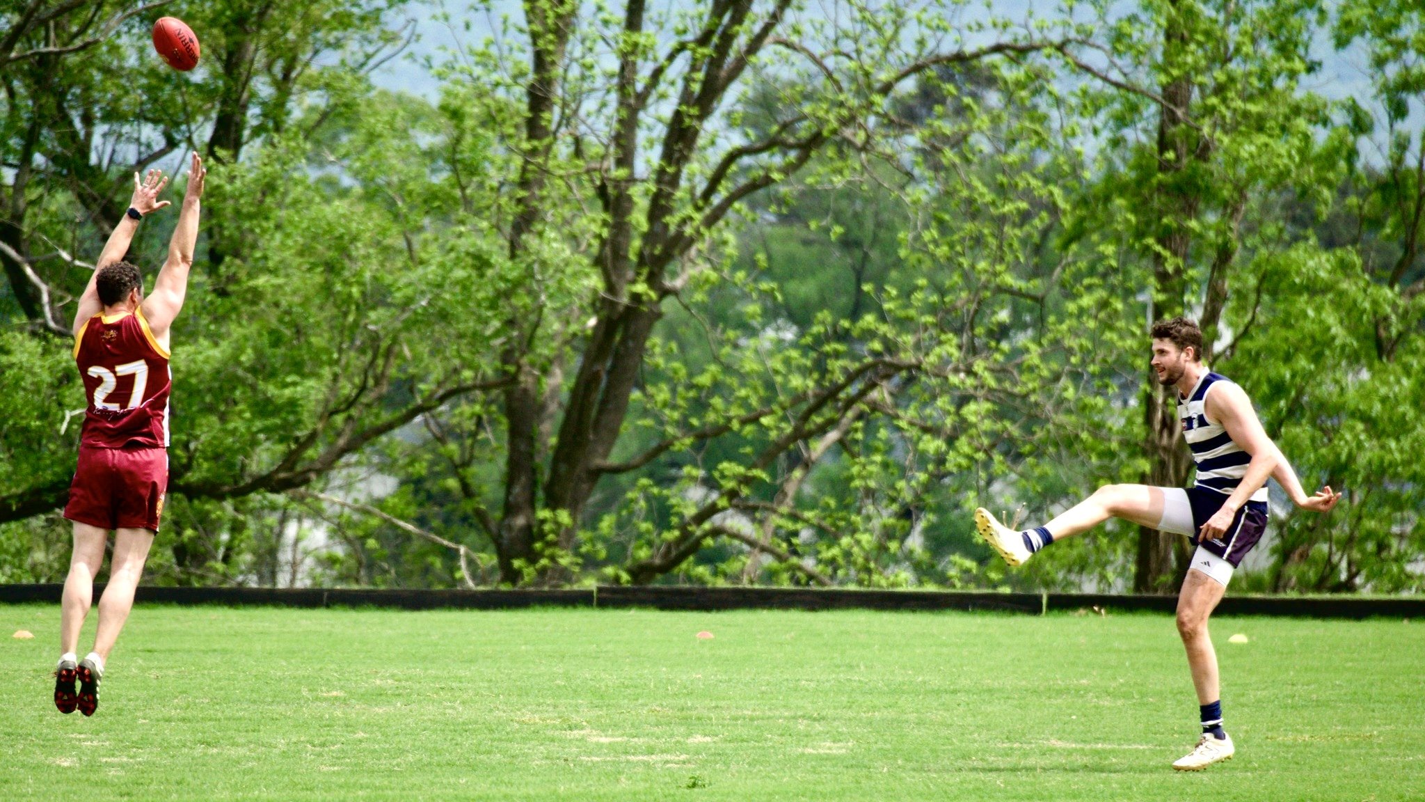 05.03 Cats vs Lions: Roy Arne Photography