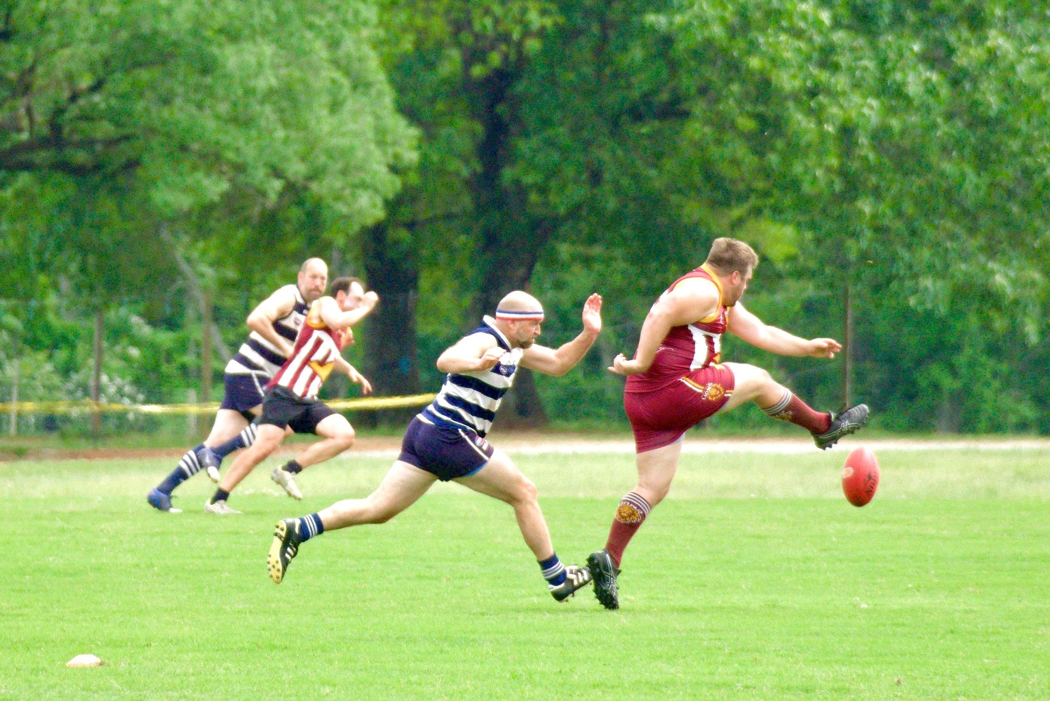 05.03 Cats vs Lions: Roy Arne Photography