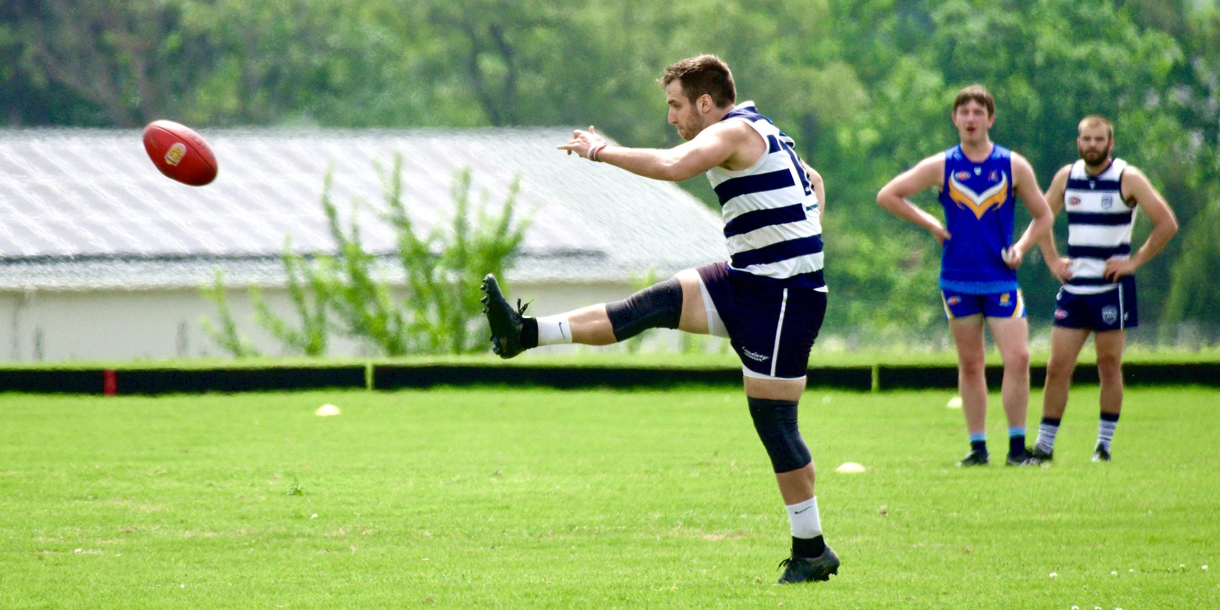 05.03 Cats vs DC: Roy Arne Photography