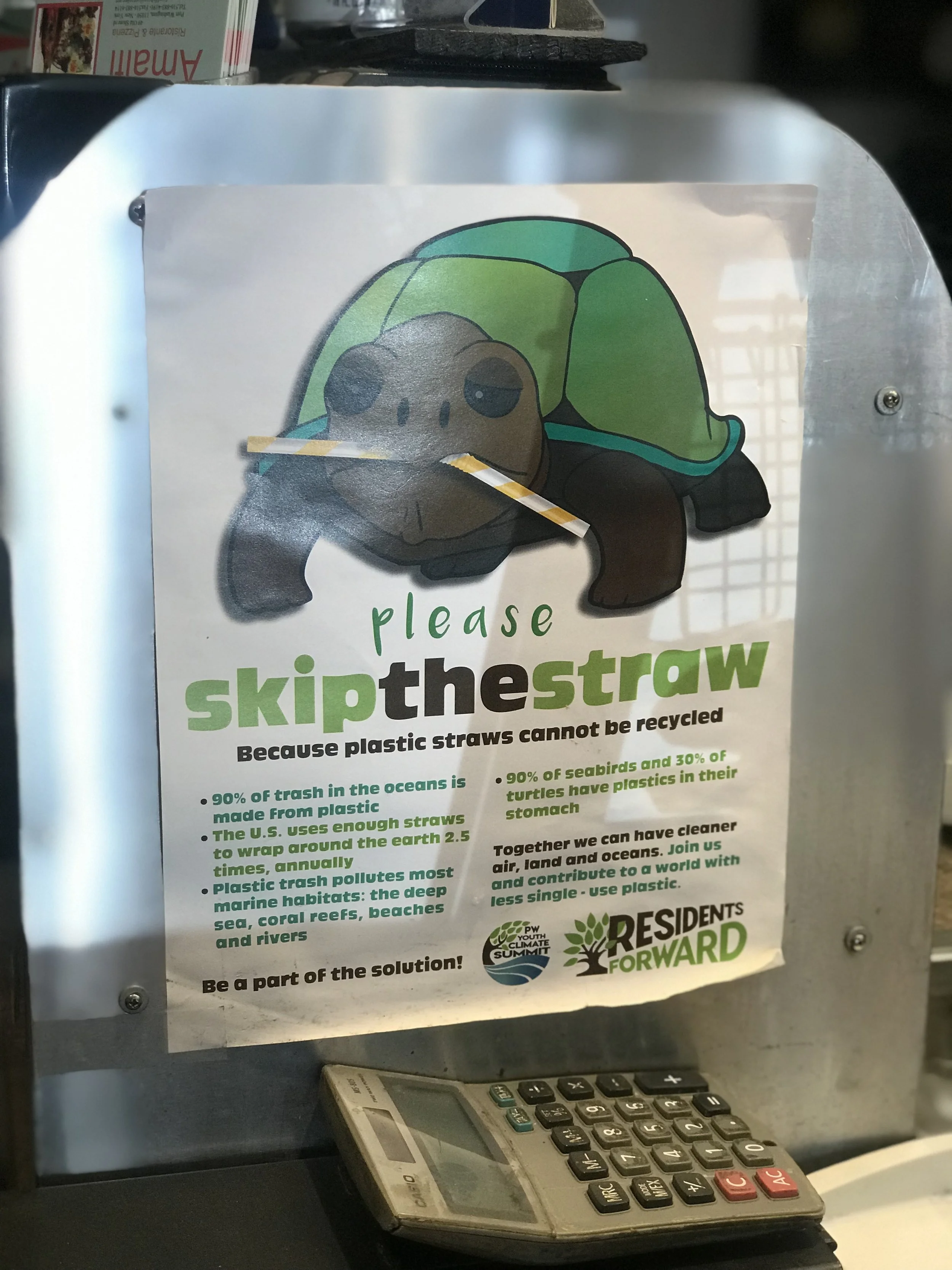 Poster with a cartoon turtle and the message "Please skip the straw" promoting reducing plastic straw usage for environmental conservation.