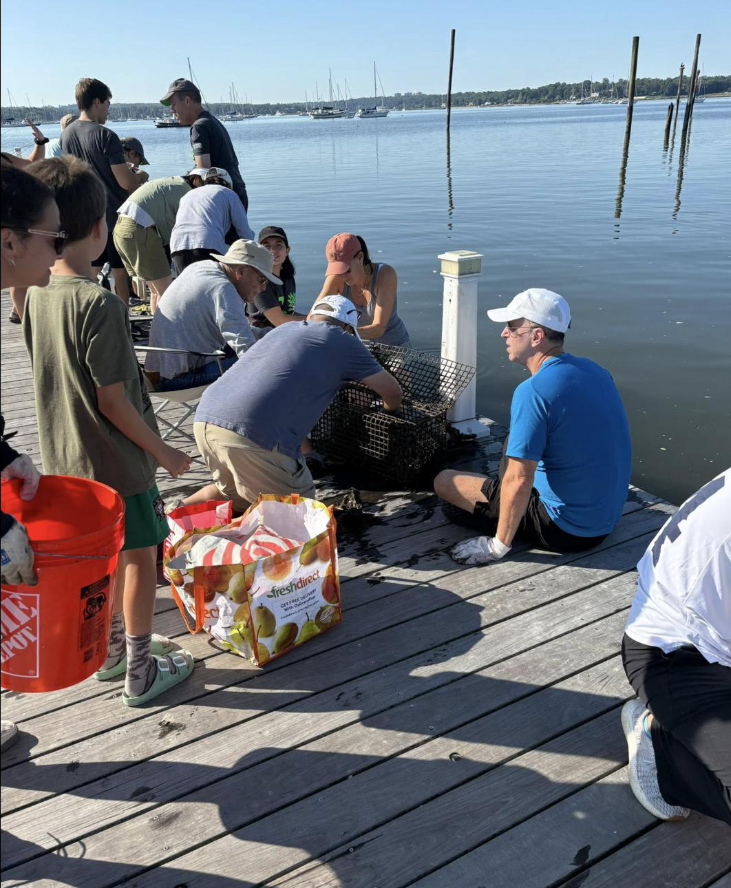 People gathered on a wooden dock by the water, participating in a clam or oyster harvesting activity, with boats and sailboats in the distance on a clear day.