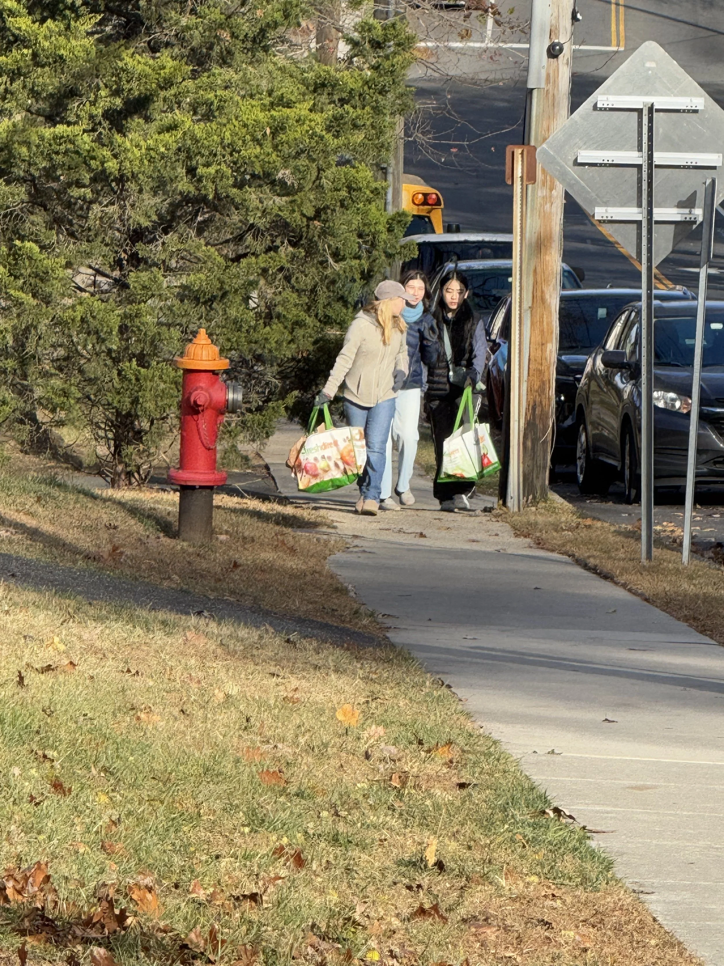 Three women walking on sidewalk carrying grocery bags, near parked cars, a utility pole, signage, and a tree in a suburban area.