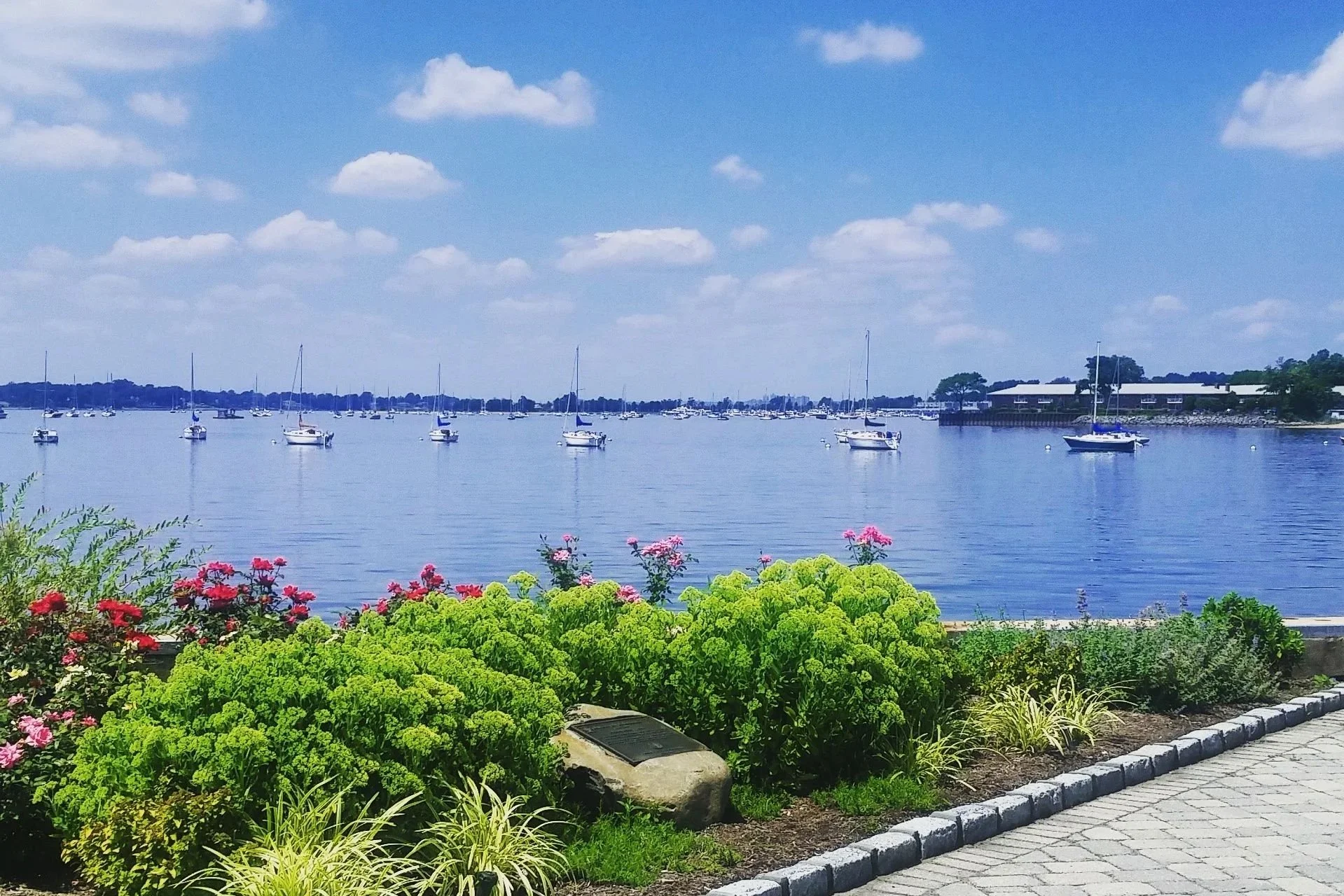A peaceful harbor scene with sailboats anchored in calm waters under a partly cloudy blue sky, with a promenade lined with green bushes, pink flowers, and a stone pathway in the foreground. Showcasing the Port Washington town docks.