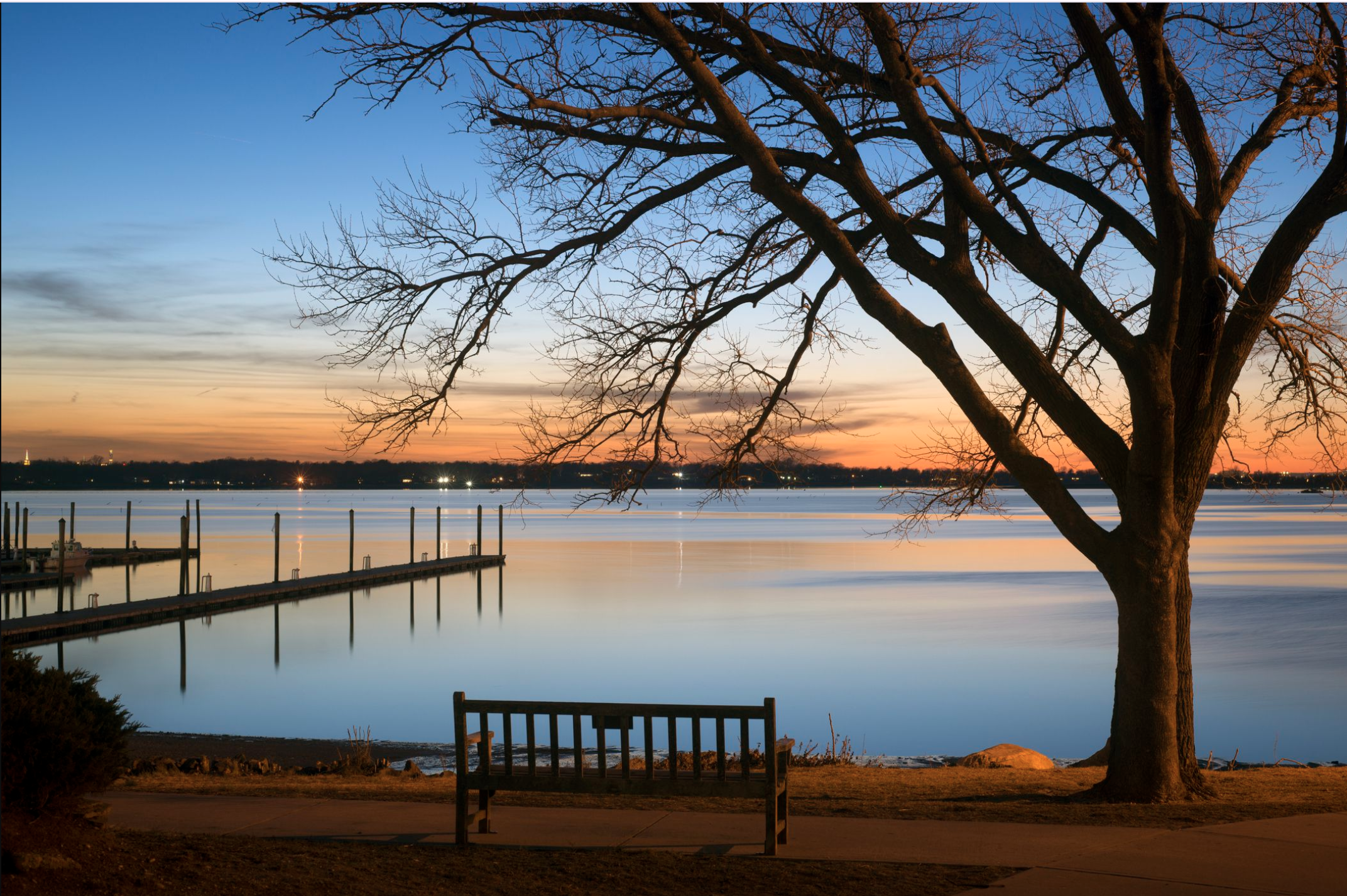 A peaceful lakeside scene during sunset with a leafless tree, a bench, calm water, and a dock extending into the lake.