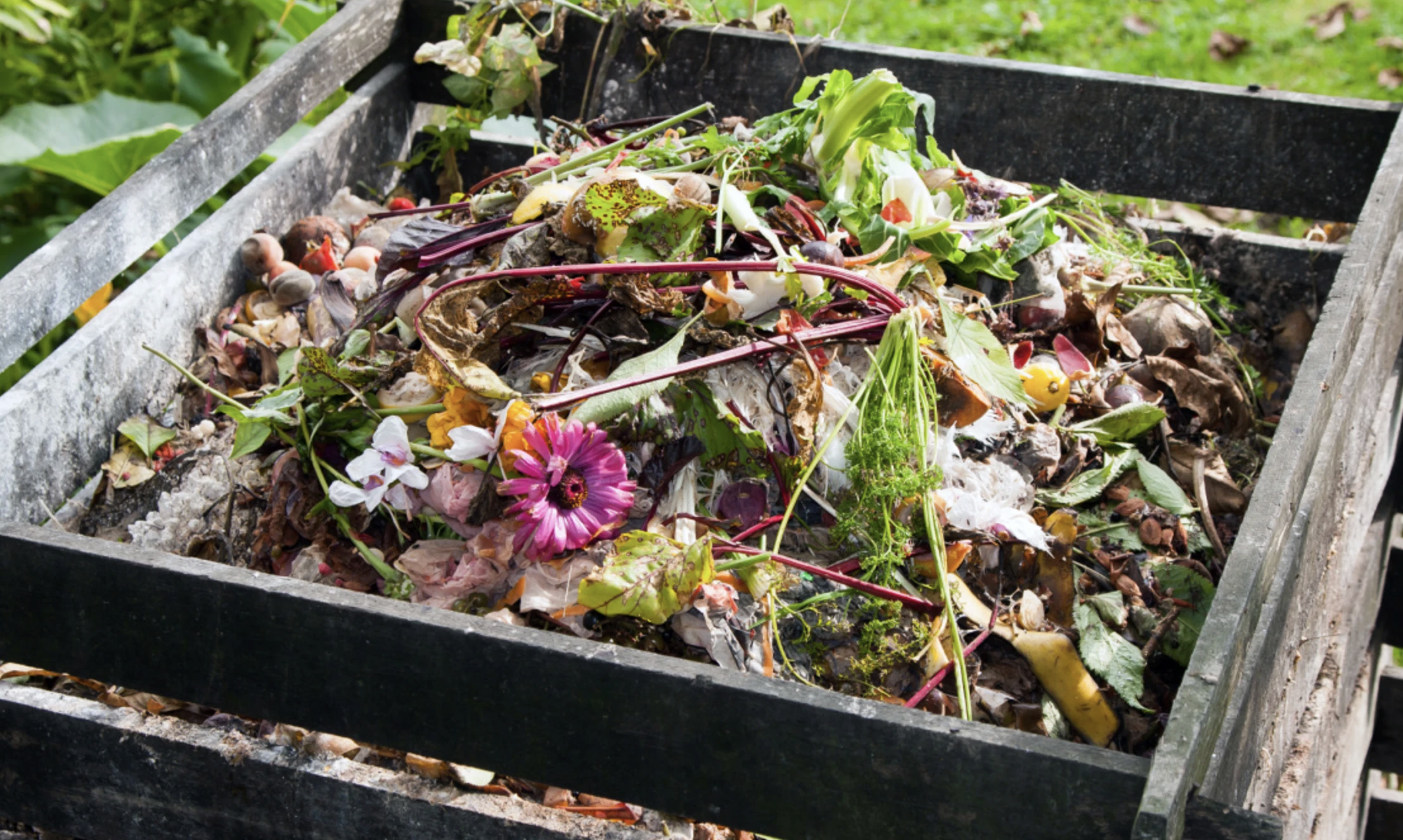 Compost bin filled with food scraps, vegetable peels, leaves, and flowers.