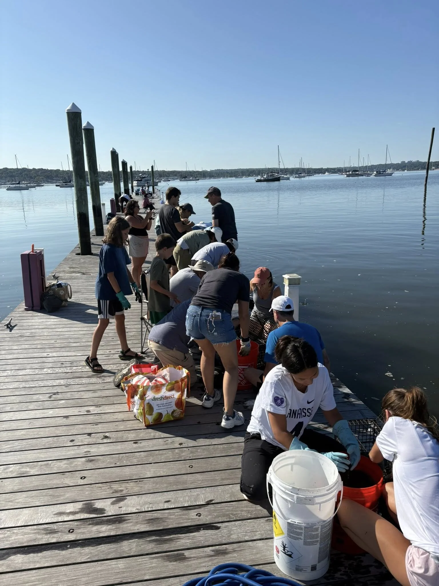Group of people on a dock by the water collecting or cleaning seafood, with boats anchored in the background on a sunny day.