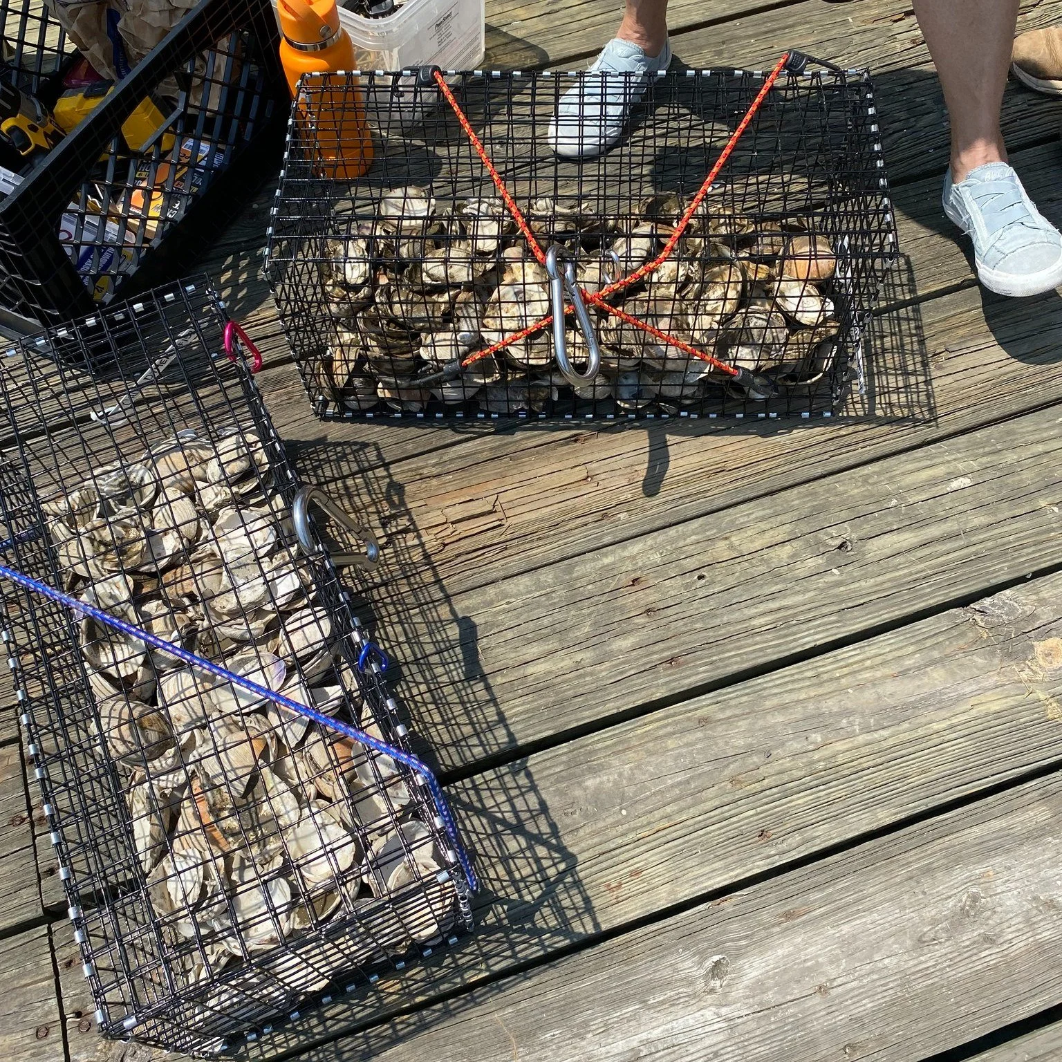 Two wire baskets filled with oysters on a wooden dock, with a person's feet visible nearby and a container of tools and supplies in the background.